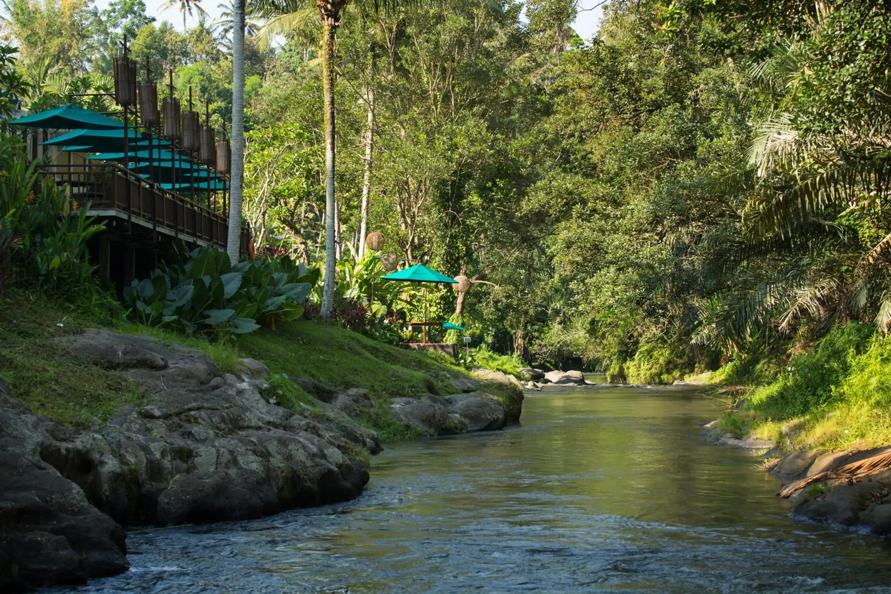 Restaurant/places to eat, Natural Landscape in The Samaya Ubud Villas