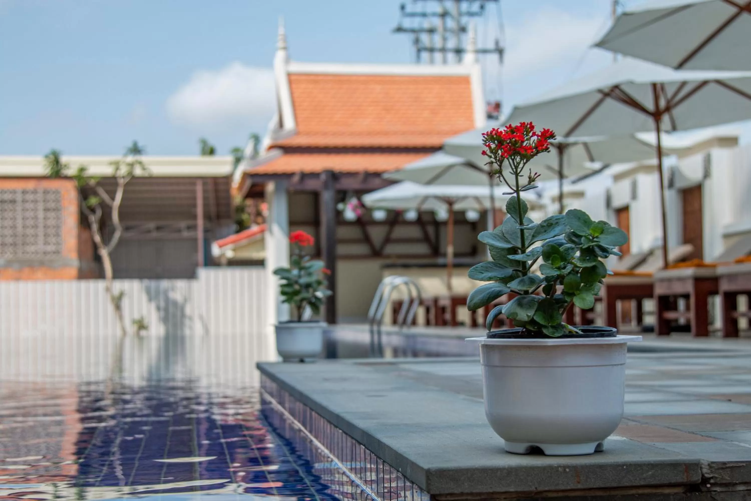Swimming pool in Kampong Thom Palace Hotel