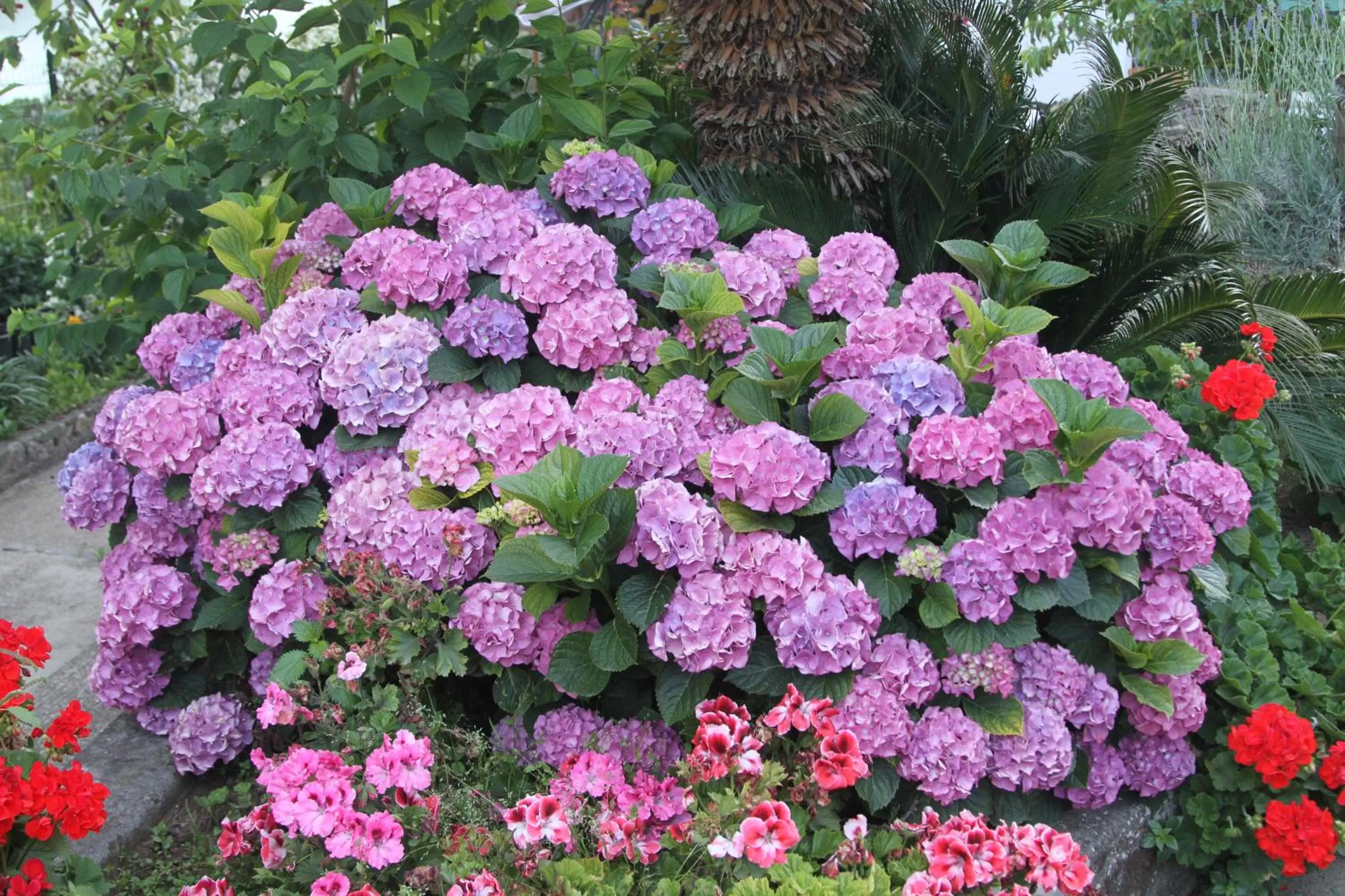 Spring in B&B Il Sogno