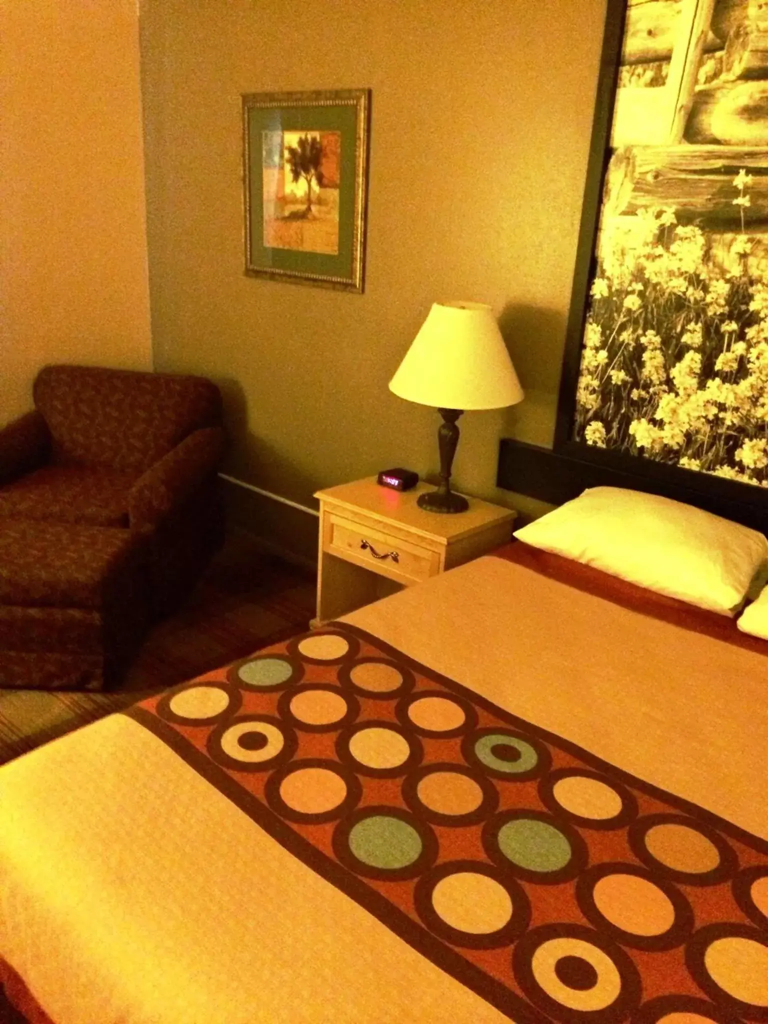 Business Queen Room - Non-Smoking in Super 8 by Wyndham Idaho Falls