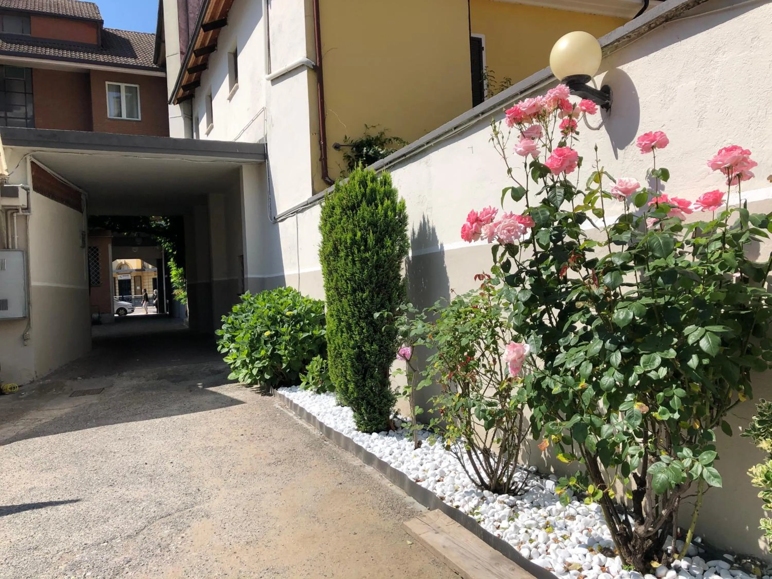 Garden in Hotel City