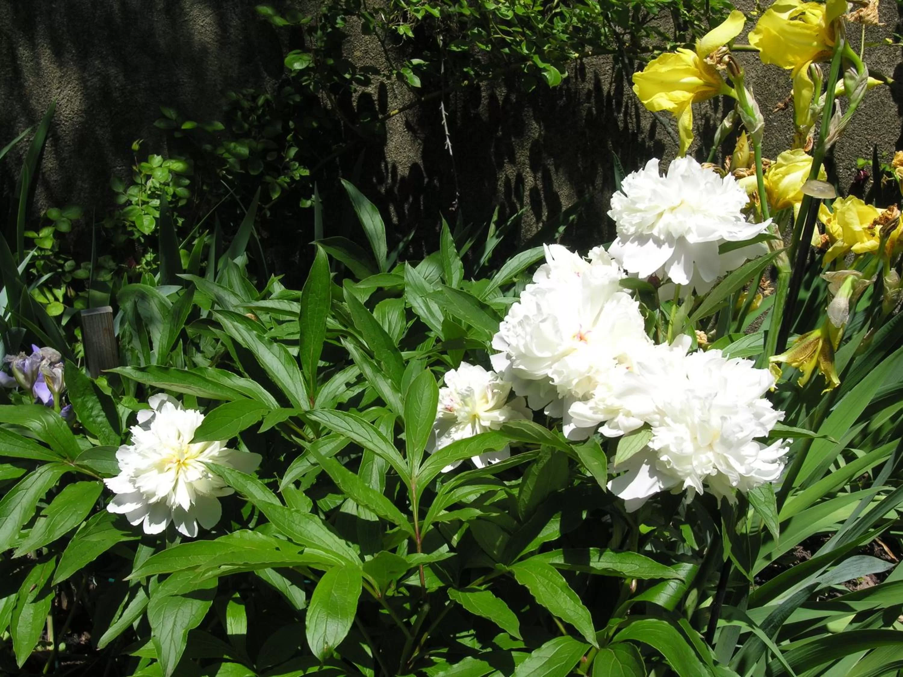 Other in Delano Homestead Bed and Breakfast