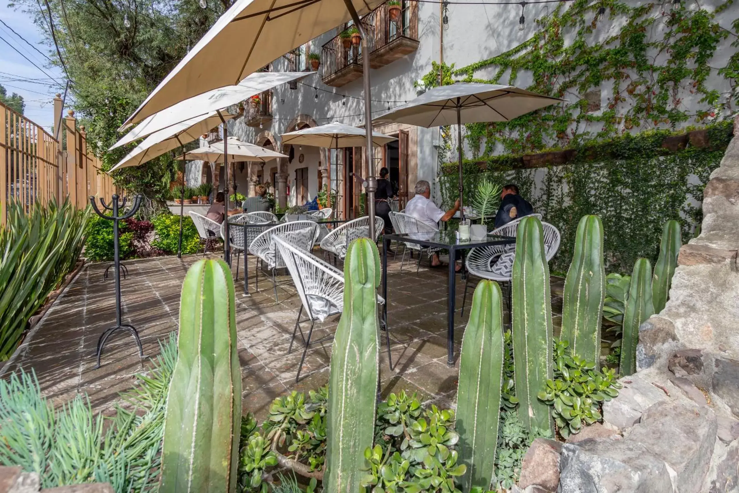 Garden in Casa Goyri San Miguel de Allende