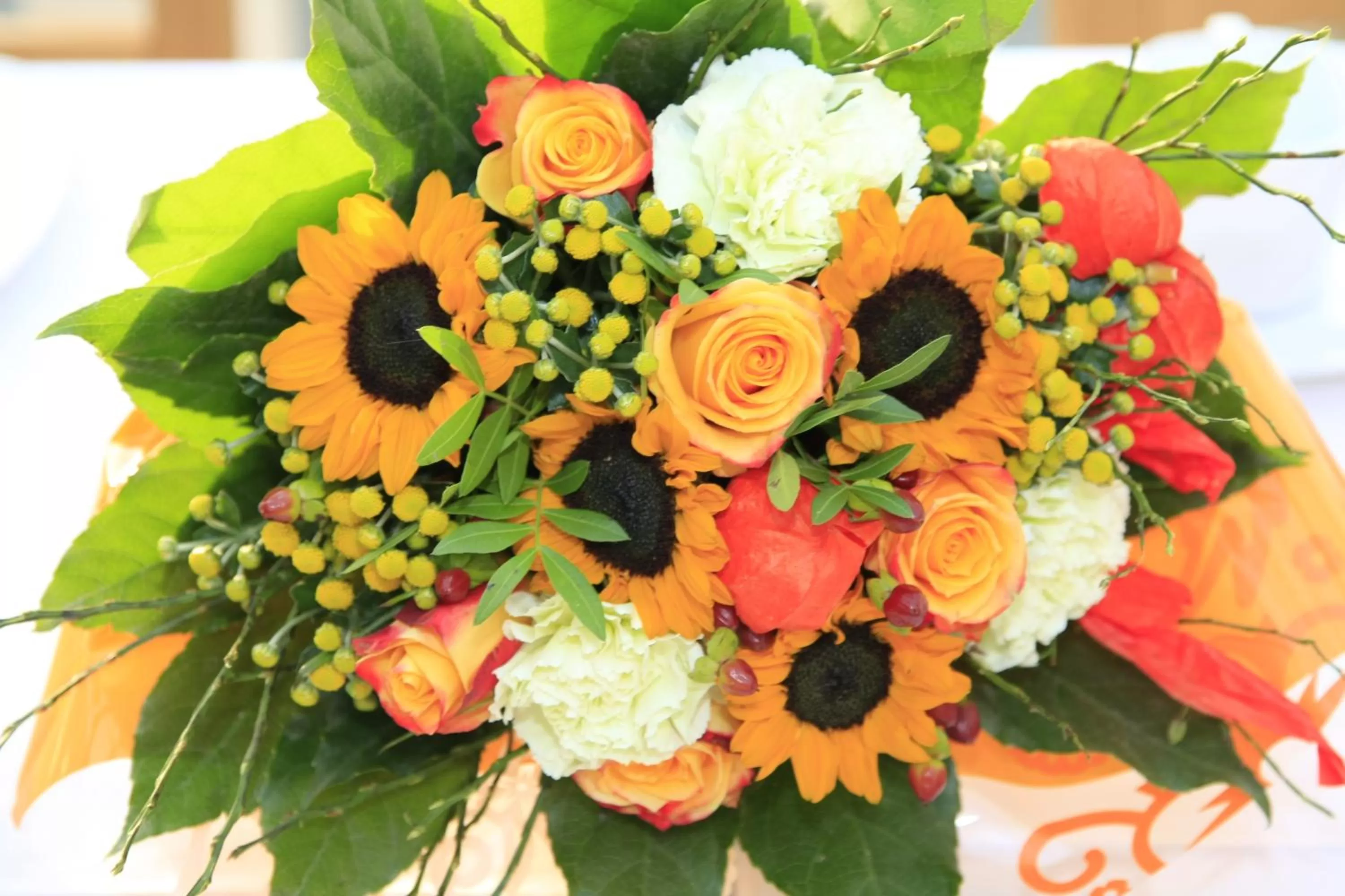 Other, Food in City-Hotel Mödling