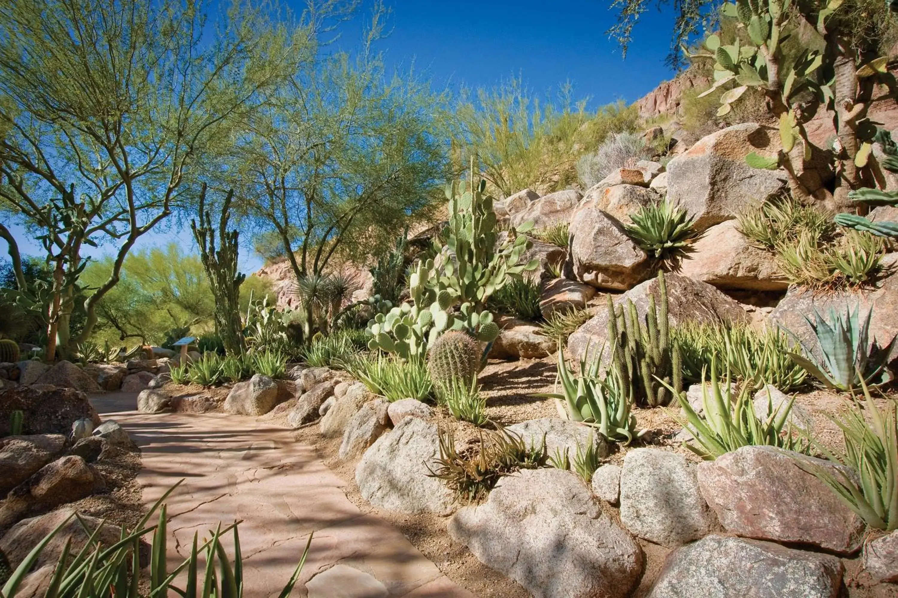 Property building, Natural Landscape in The Canyon Suites At The Phoenician, A Luxury Collection Resort