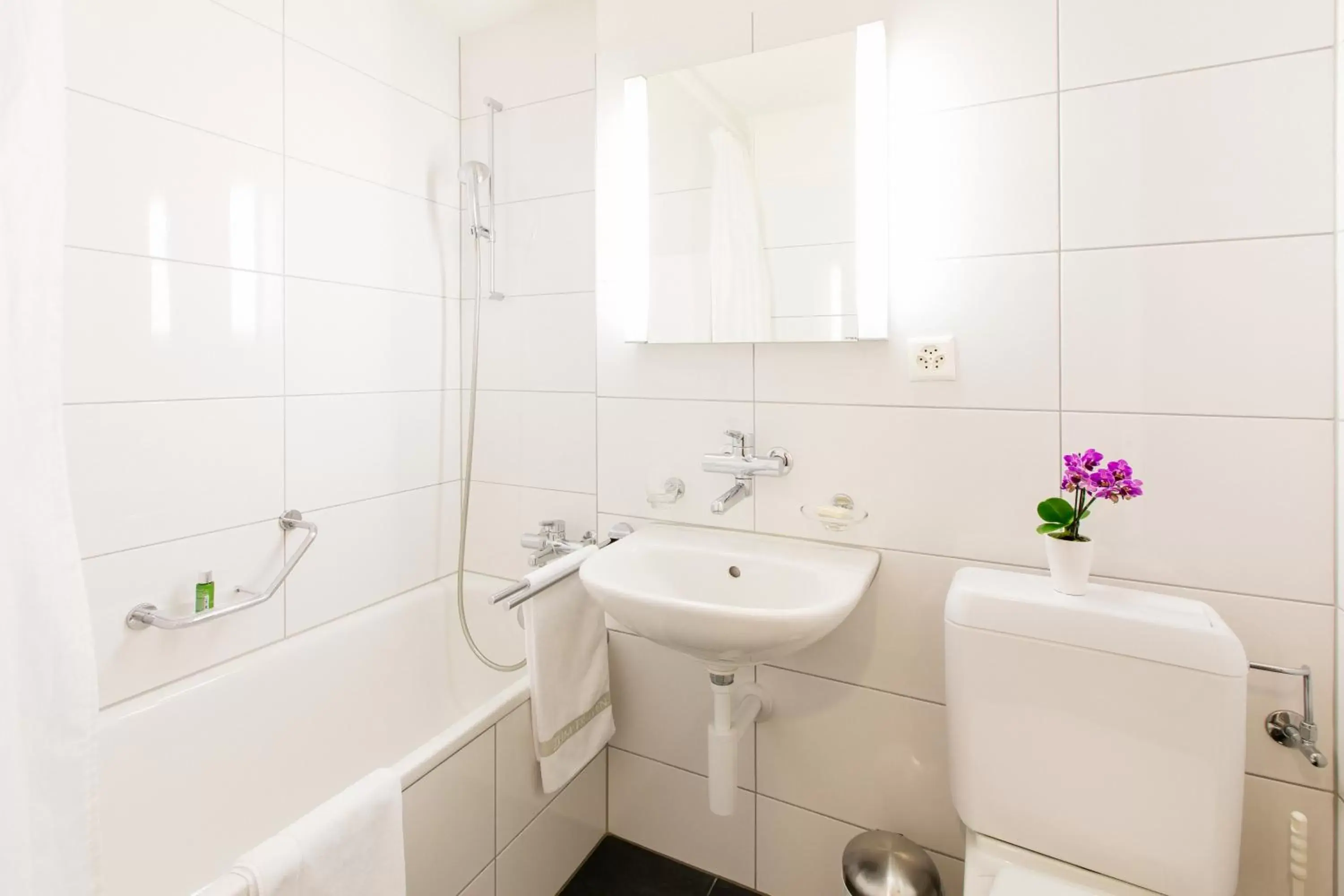 Toilet, Bathroom in Apartmenthaus zum Trillen Basel City Center