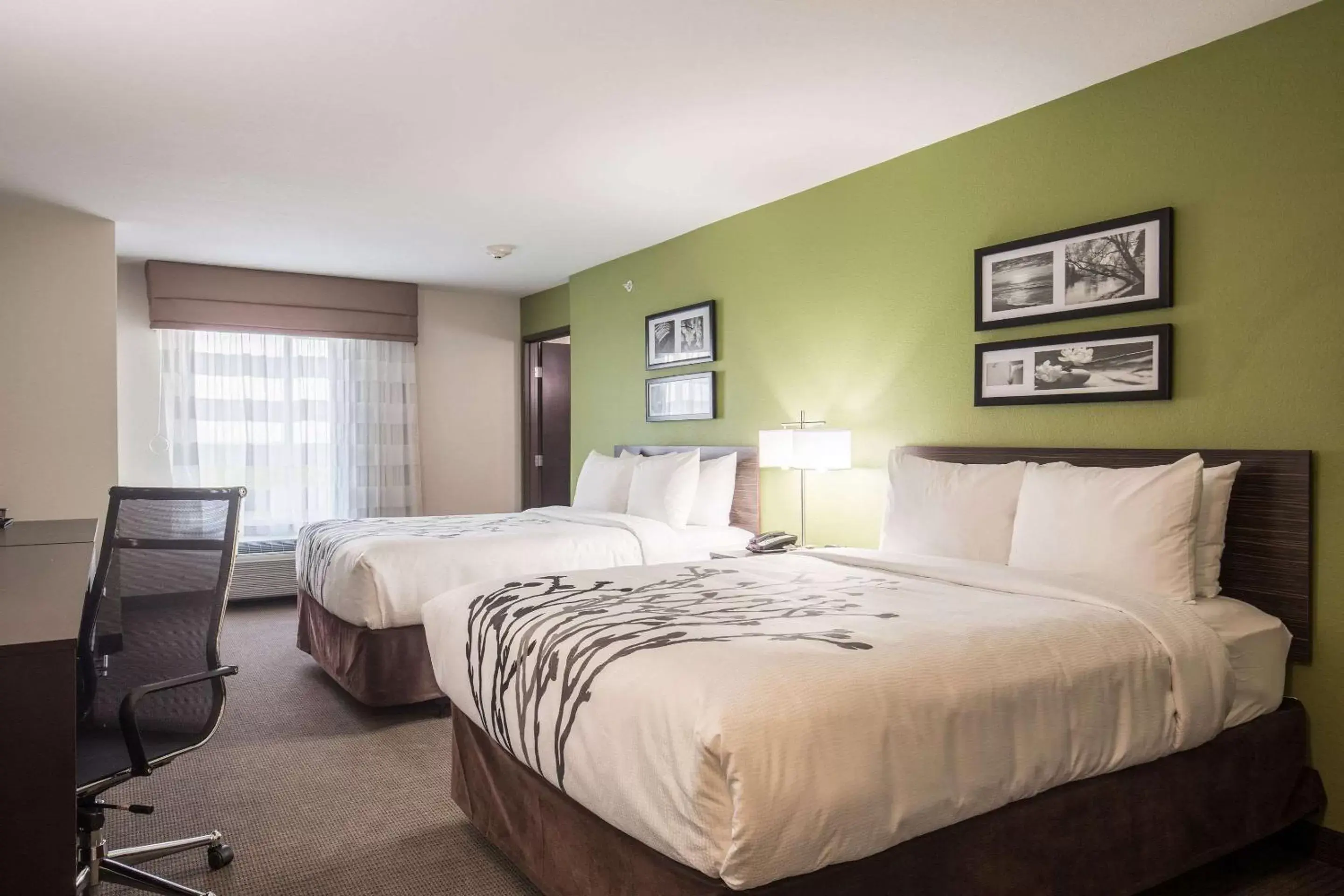 Photo of the whole room, Bed in Sleep Inn & Suites