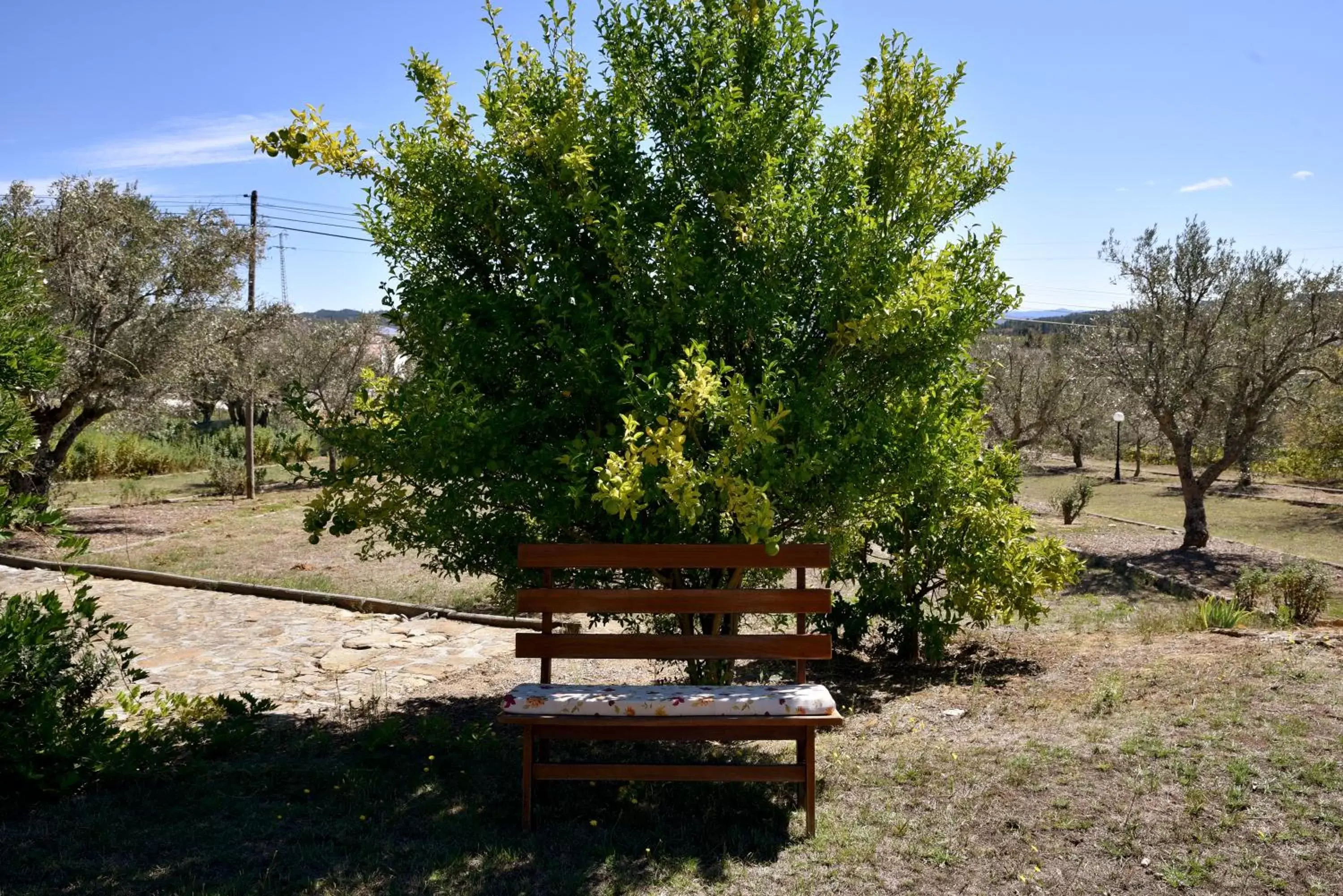 Natural landscape, Garden in Quinta da Seixeda
