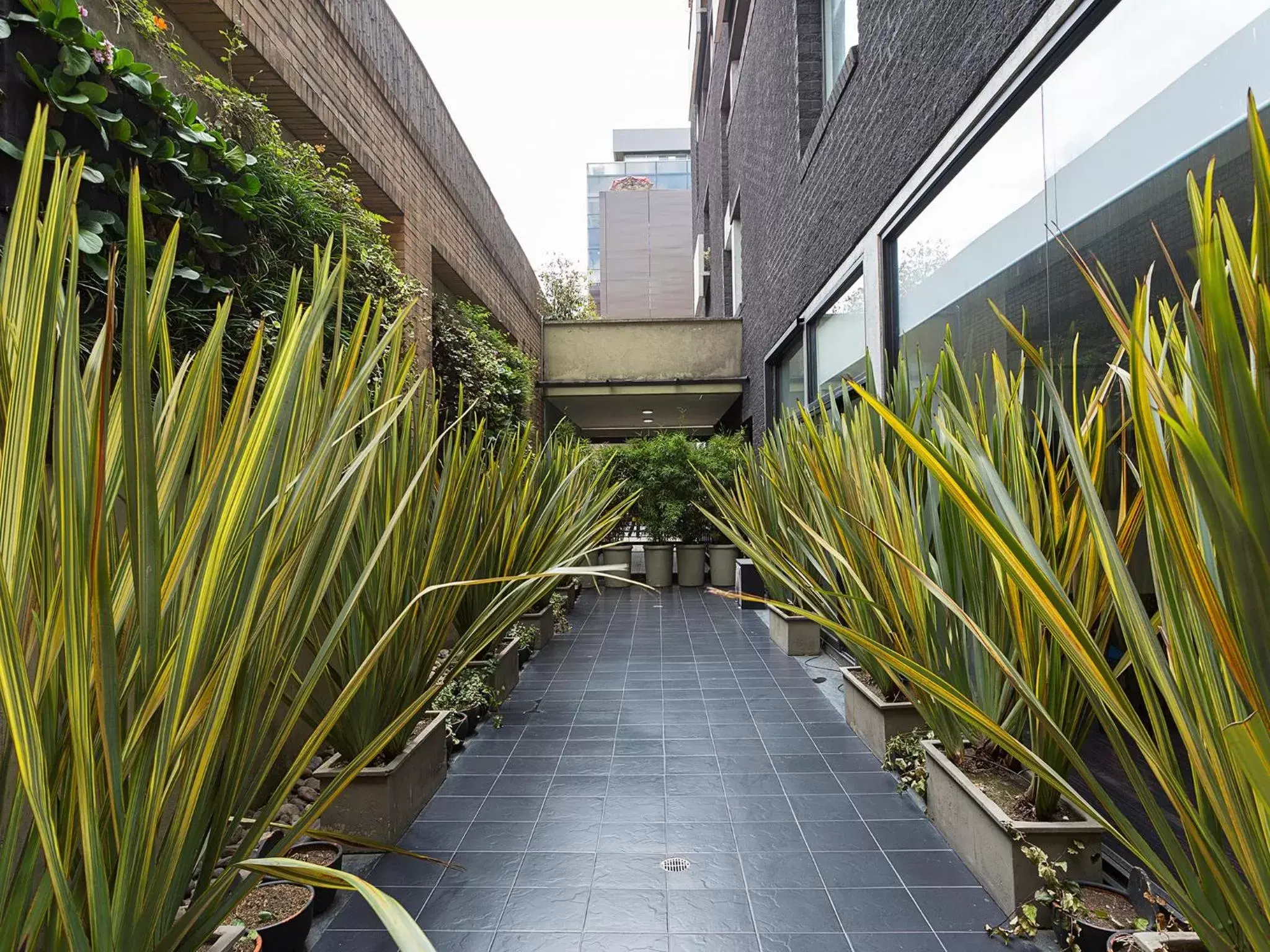 Balcony/Terrace in Hotel bh Parque 93