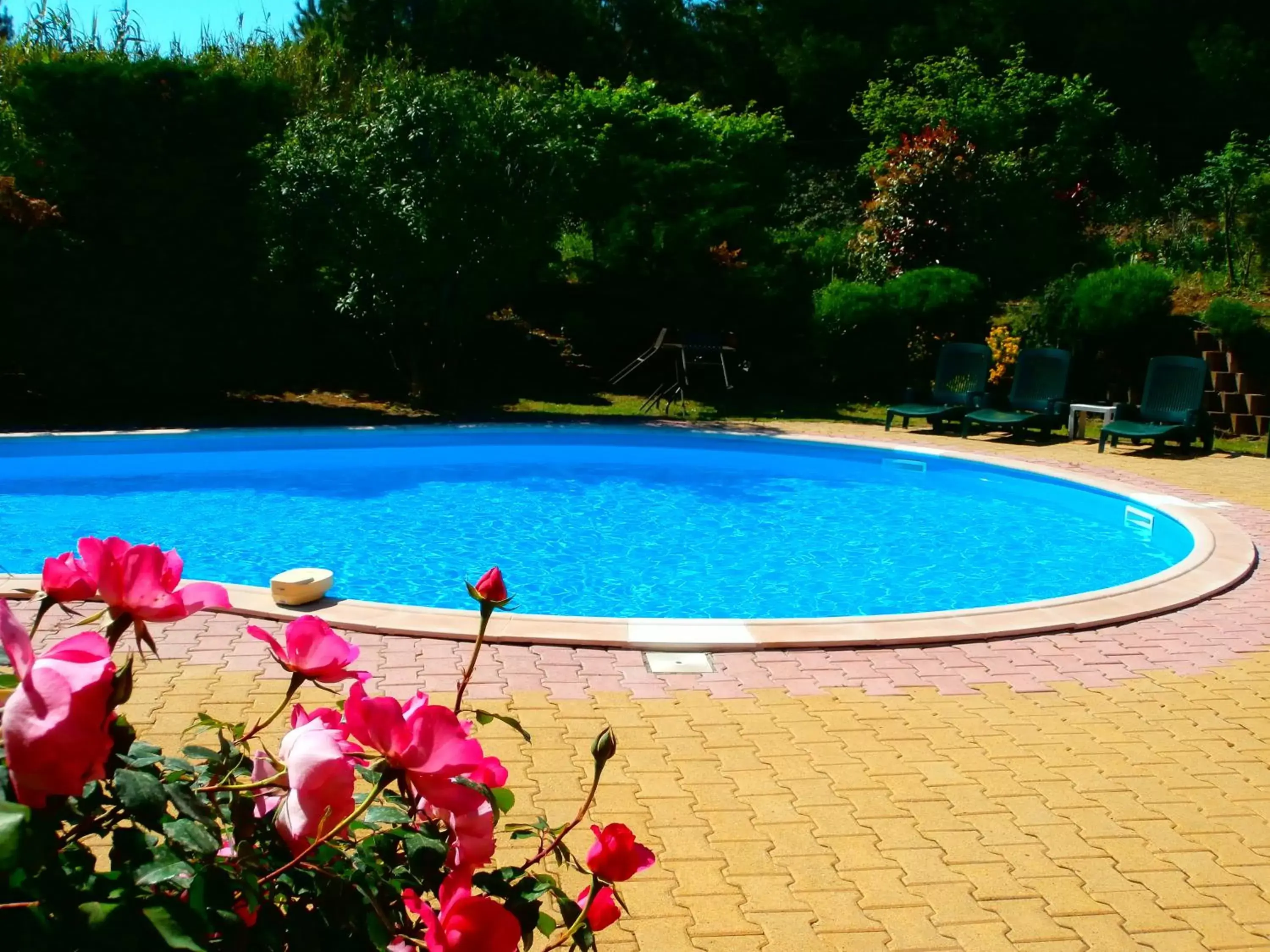 Balcony/Terrace, Swimming Pool in Cit'Hotel Hotel Prime - A709