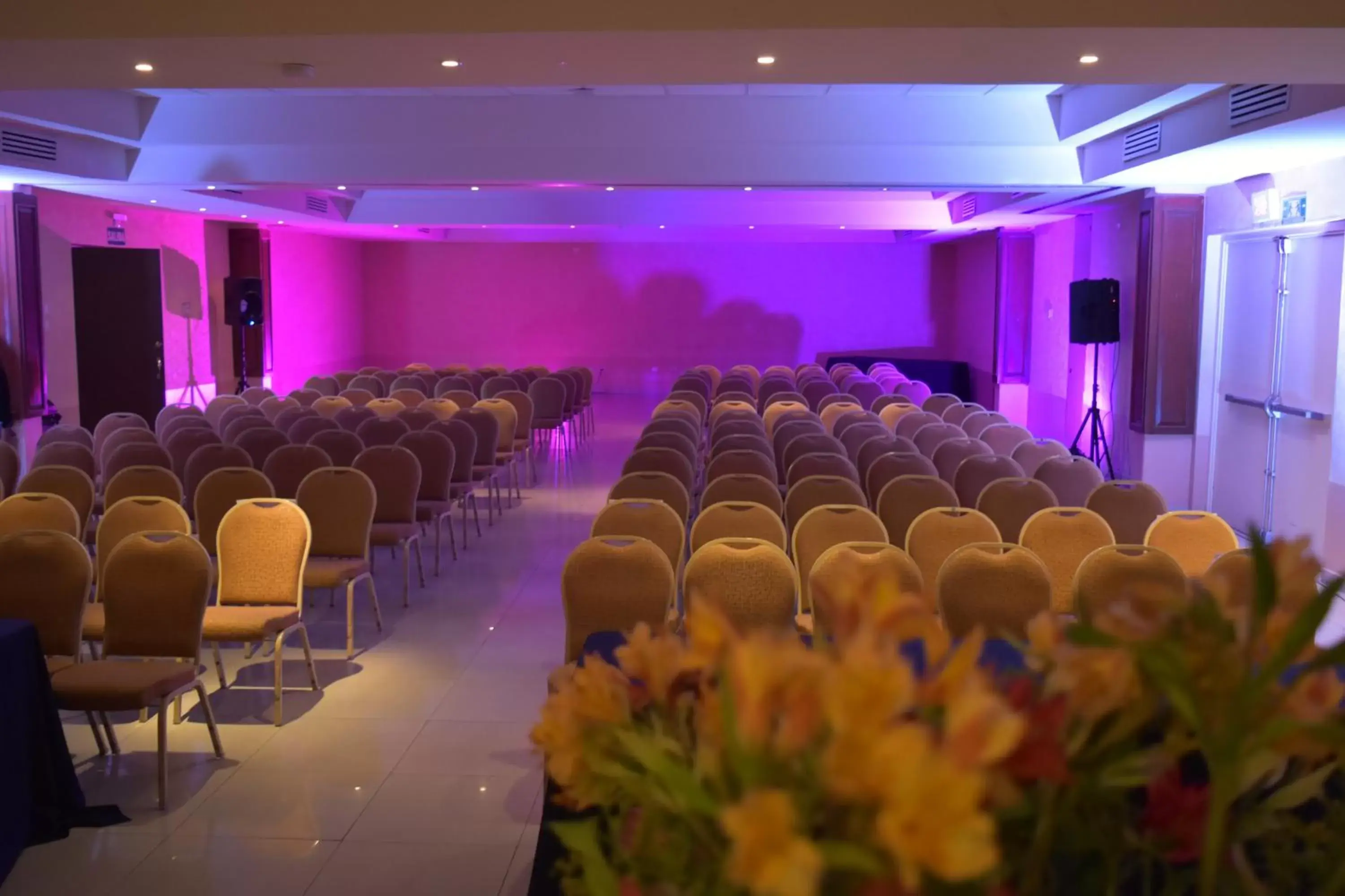 Meeting/conference room in Hotel San Angel