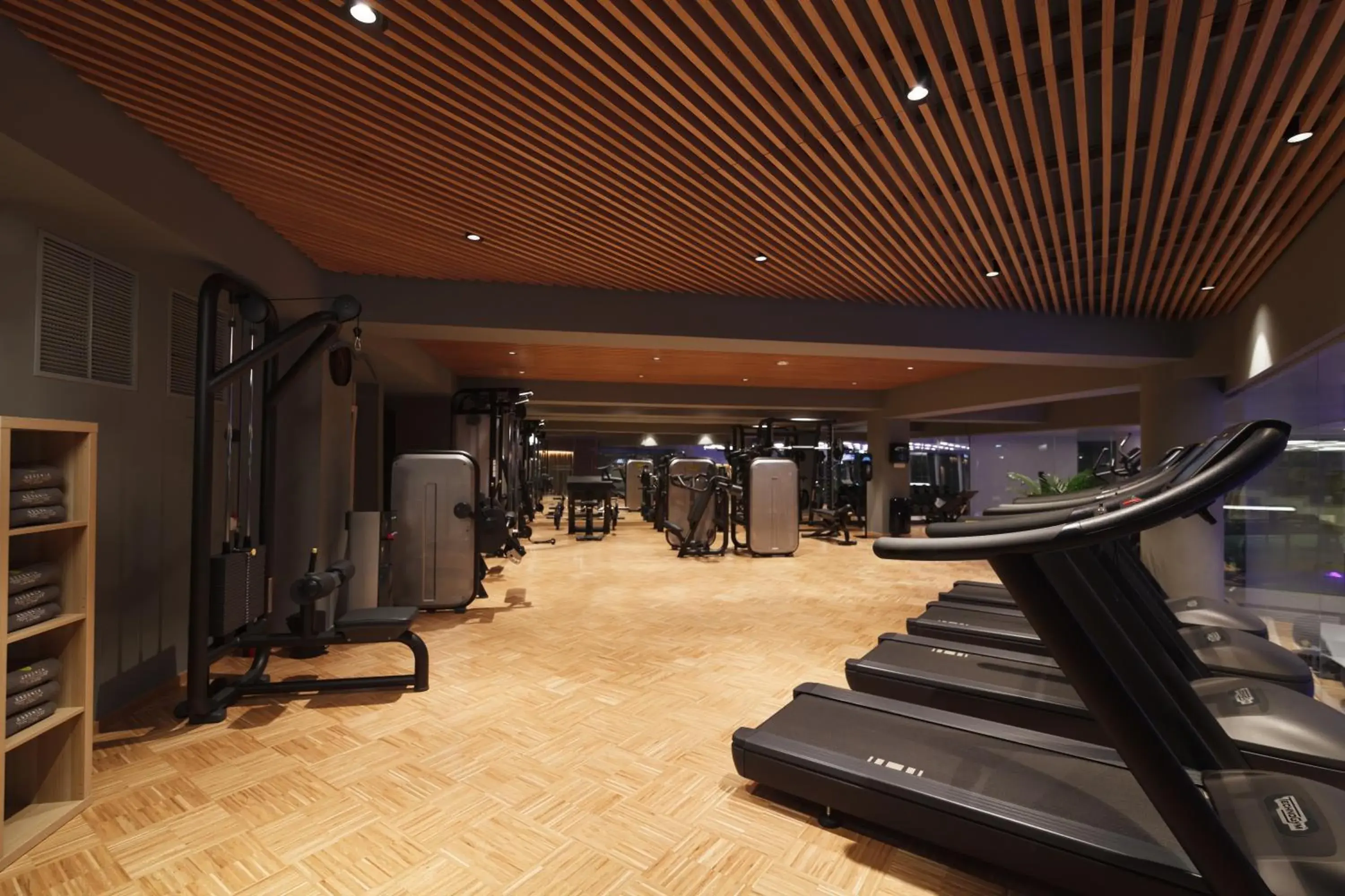 Fitness centre/facilities, Fitness Center/Facilities in Crowne Plaza Bucharest, an IHG Hotel