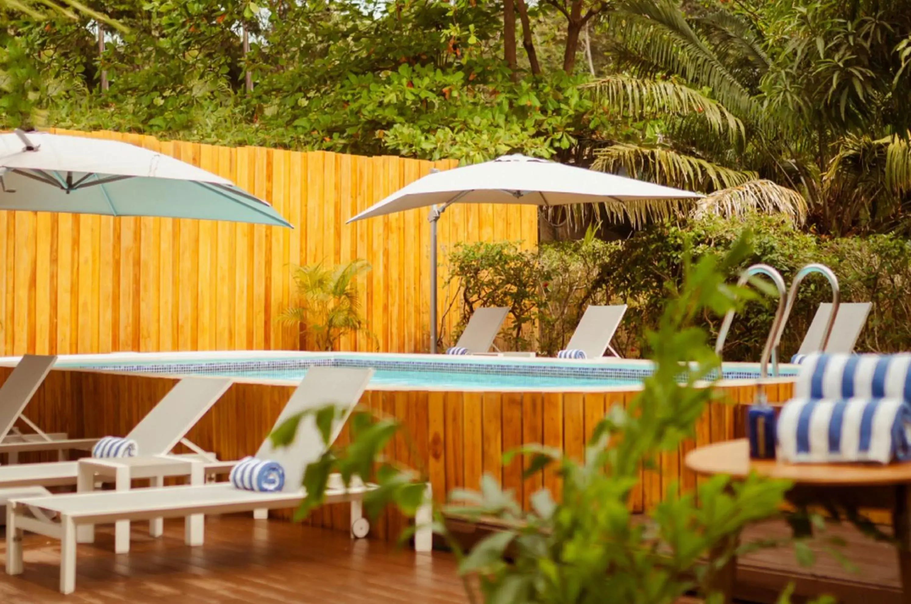 Swimming Pool in Isla Chiquita Glamping Hotel