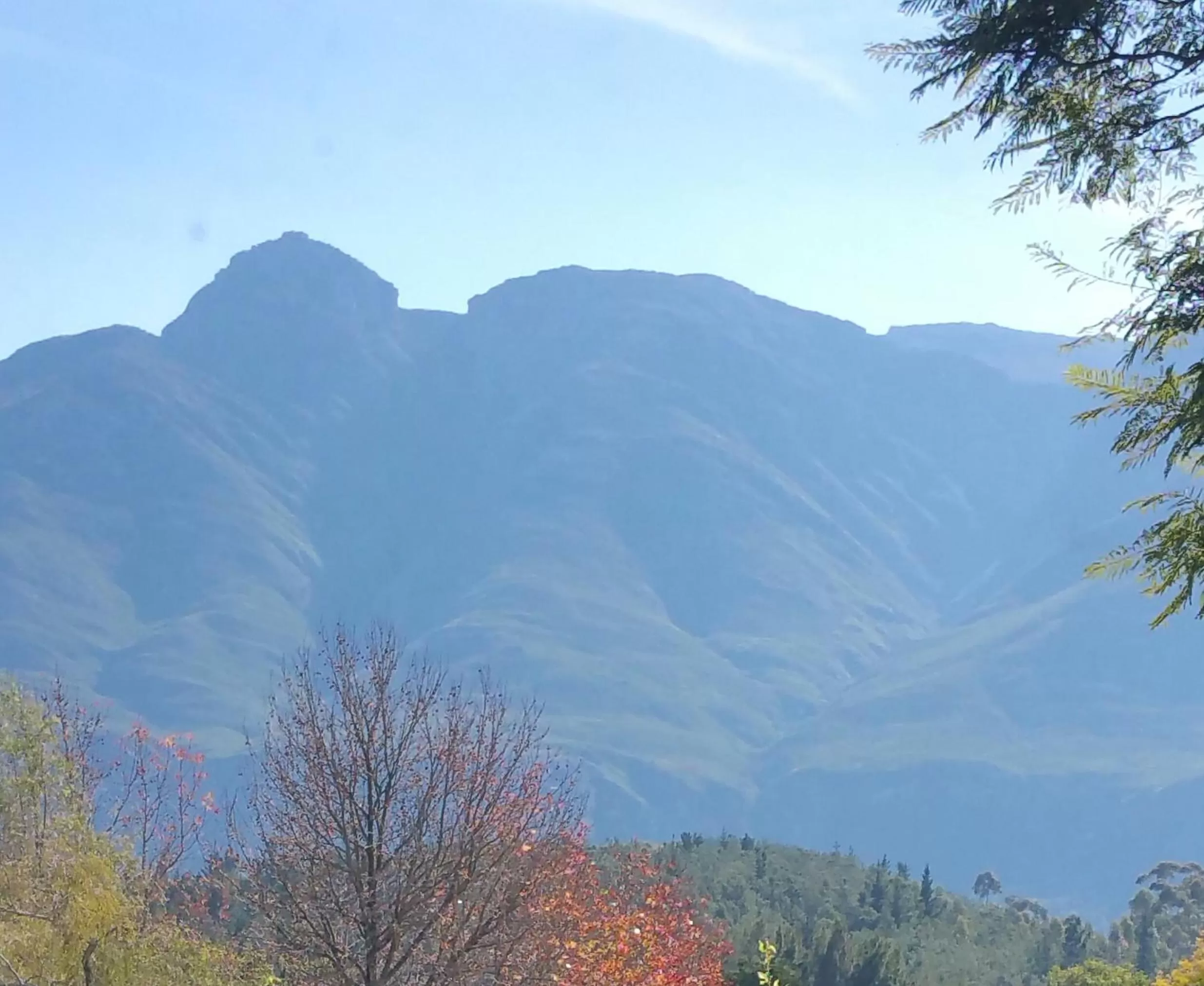 Mountain view in Bergview Guesthouse Swellendam