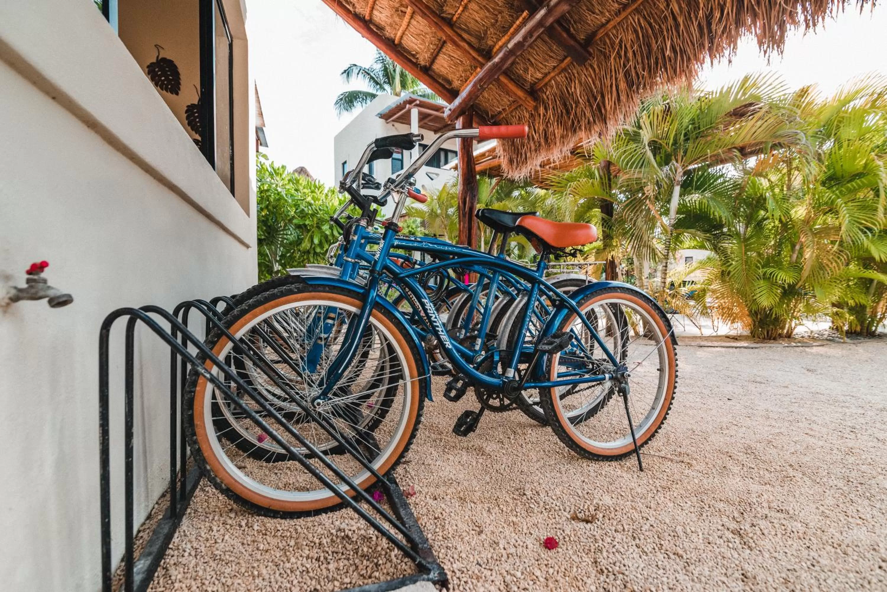 Cycling in Blue Palm Bacalar
