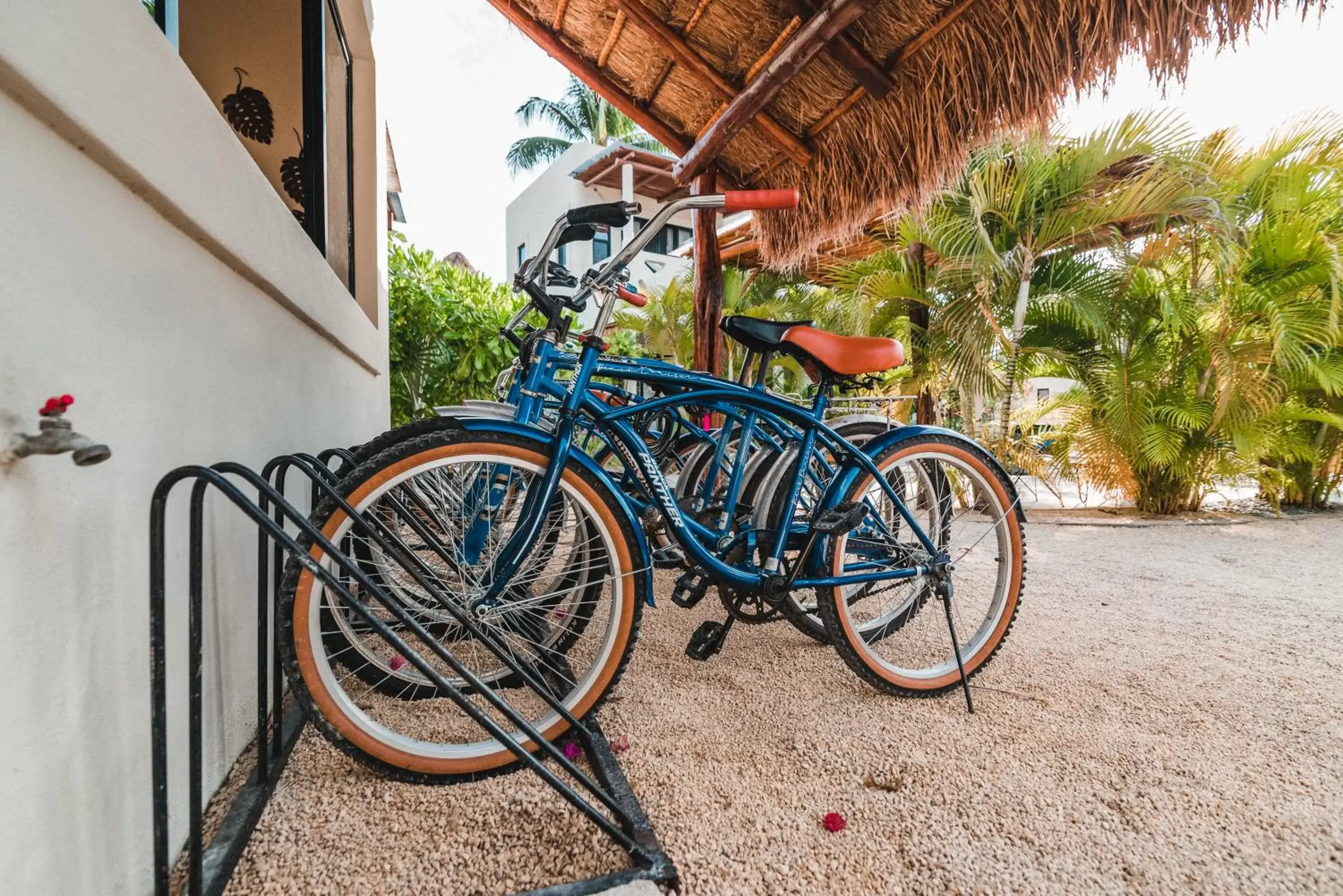 Cycling, Other Activities in Blue Palm Bacalar