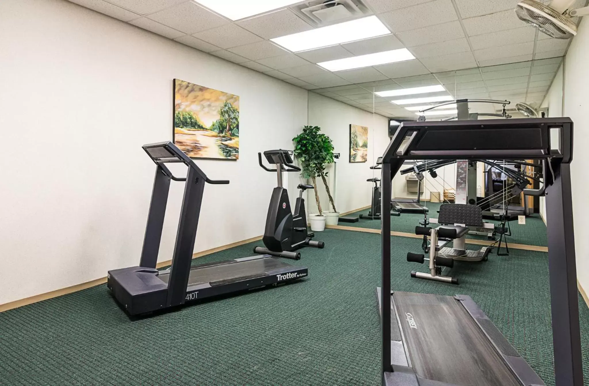 Fitness centre/facilities, Fitness Center/Facilities in Quality Inn & Suites Schoharie near Howe Caverns