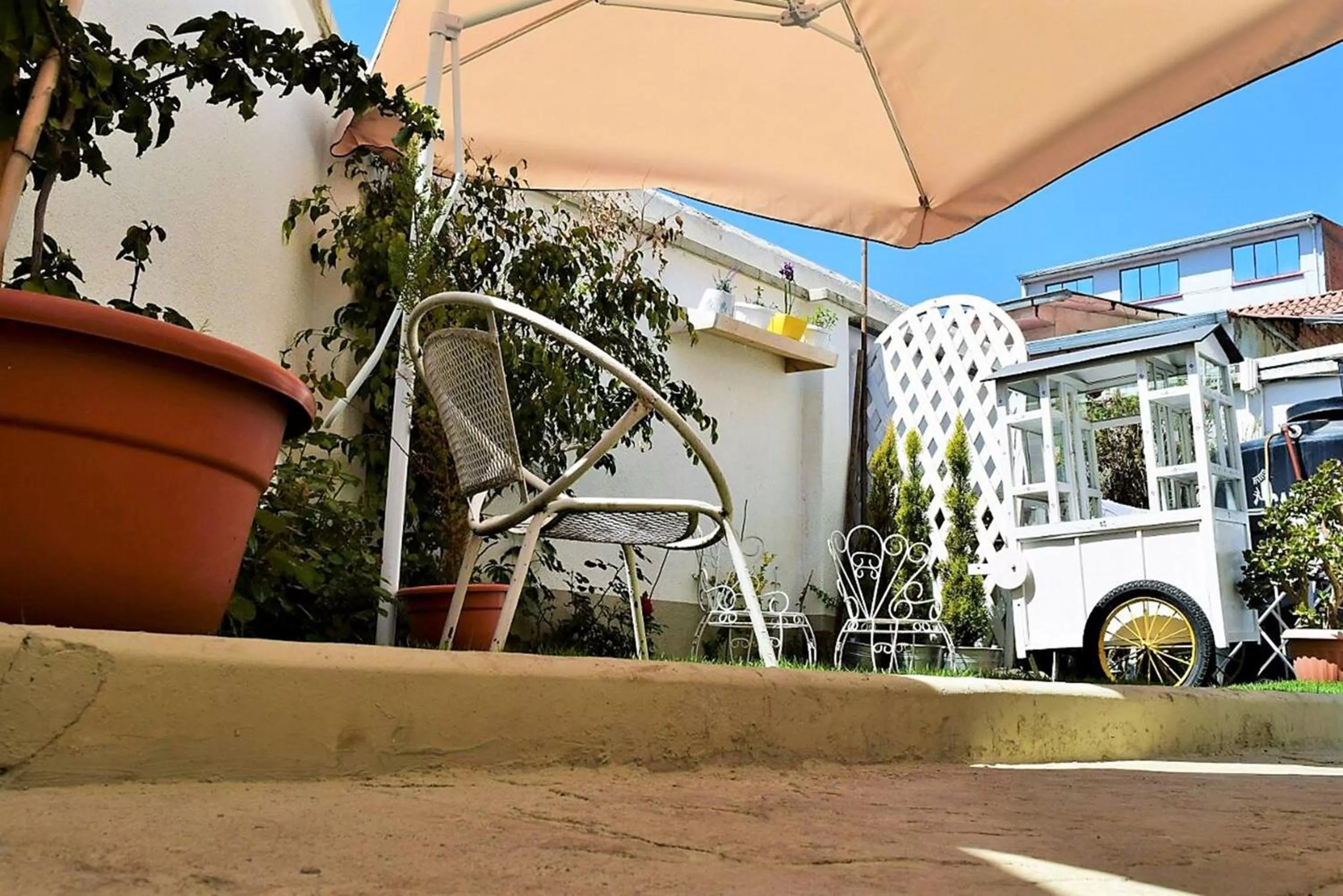 Garden in Casa Fusion Hotel Boutique