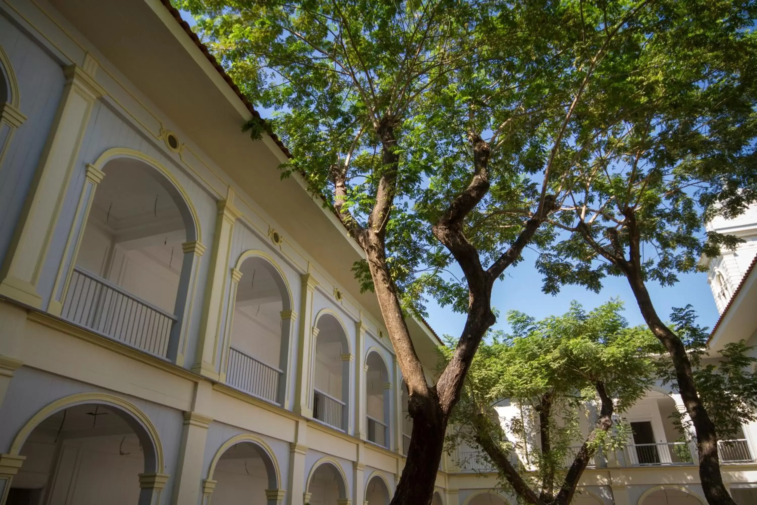 Garden, Property Building in Hotel del Parque