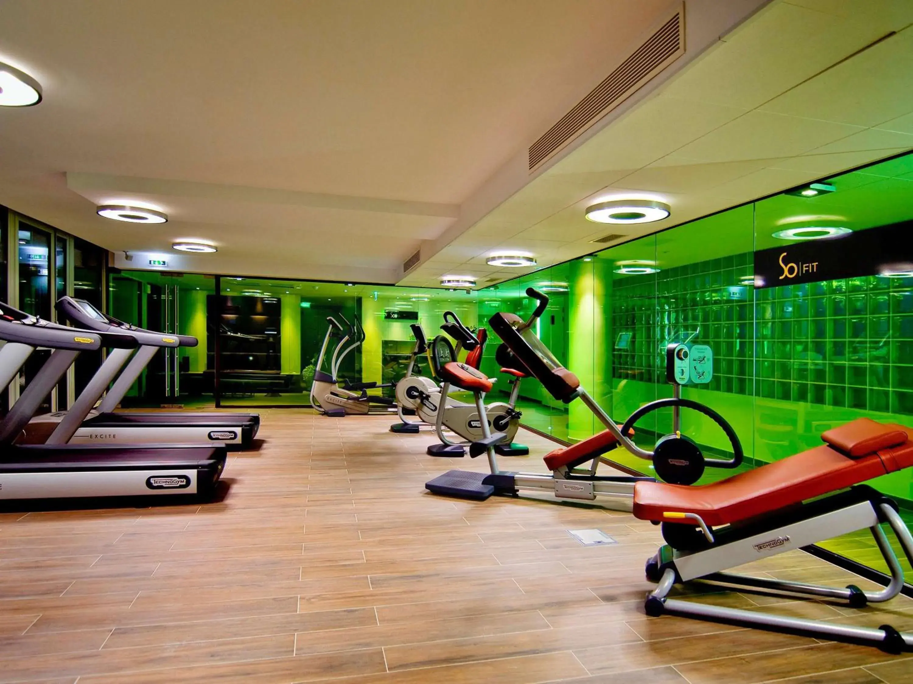 Fitness centre/facilities, Fitness Center/Facilities in Sofitel Lyon Bellecour