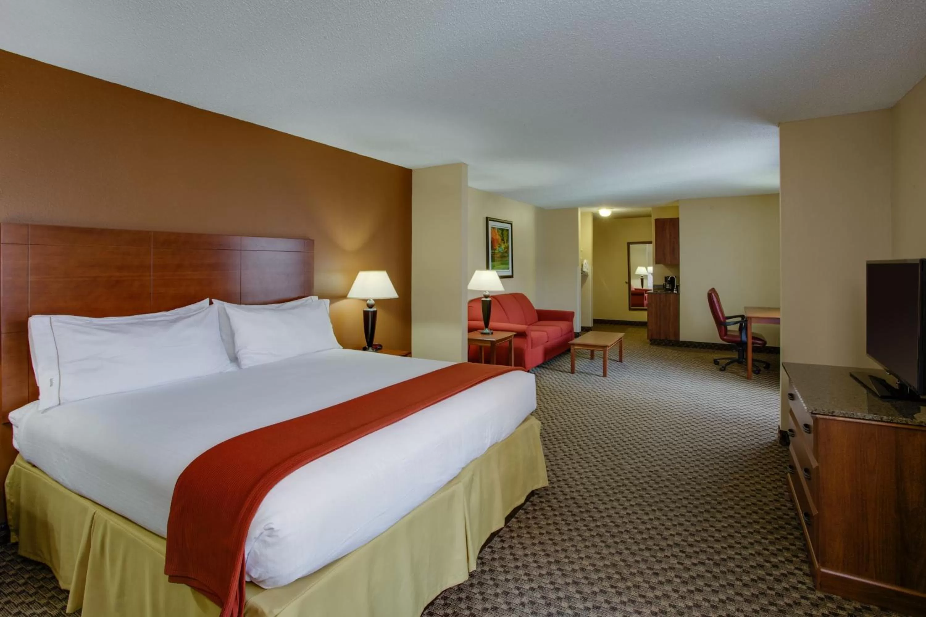 Deluxe King Suite in Holiday Inn Express Hotel & Suites Columbia-I-20 at Clemson Road, an IHG Hotel