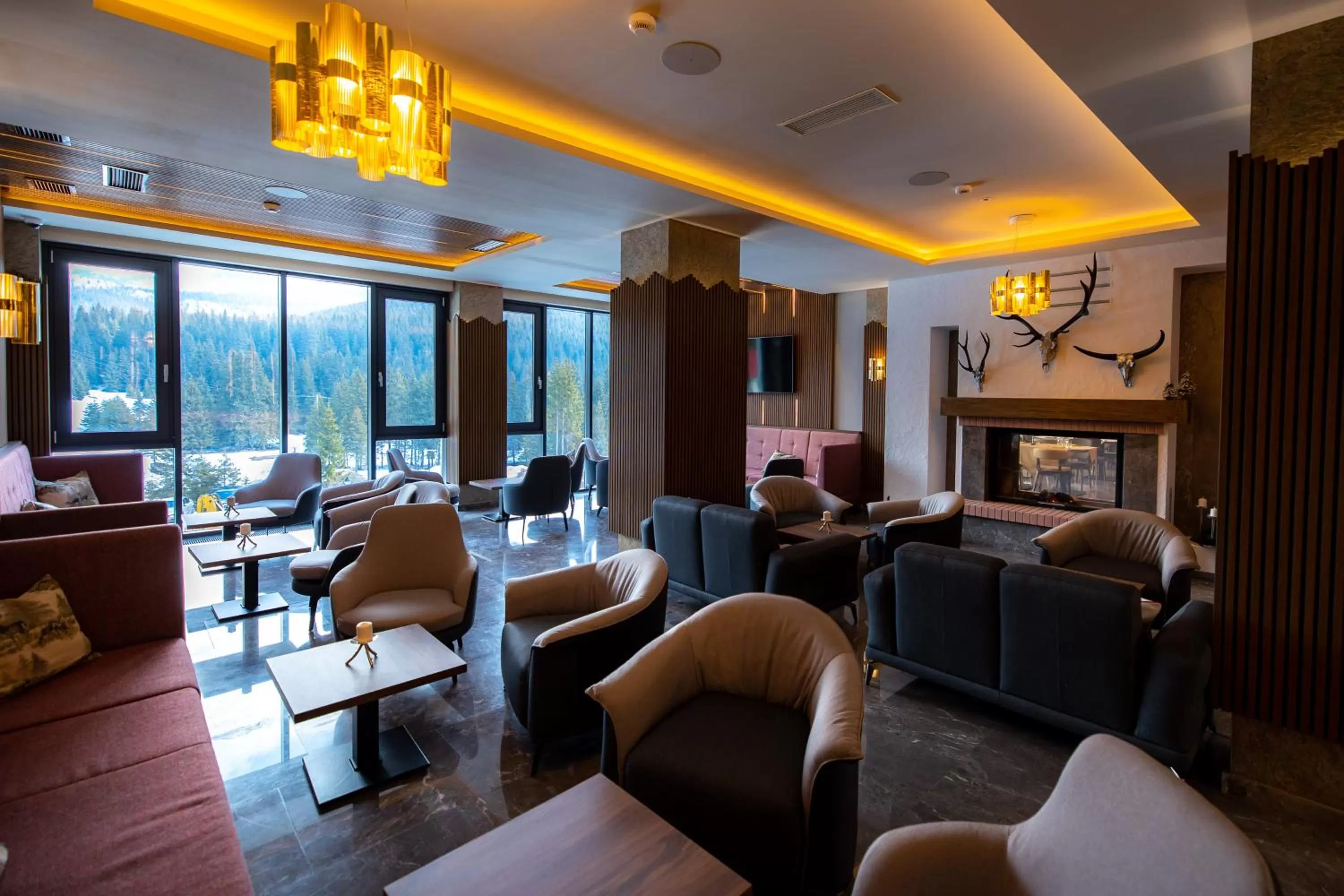 Lounge or bar, Seating Area in Hotel Belmont