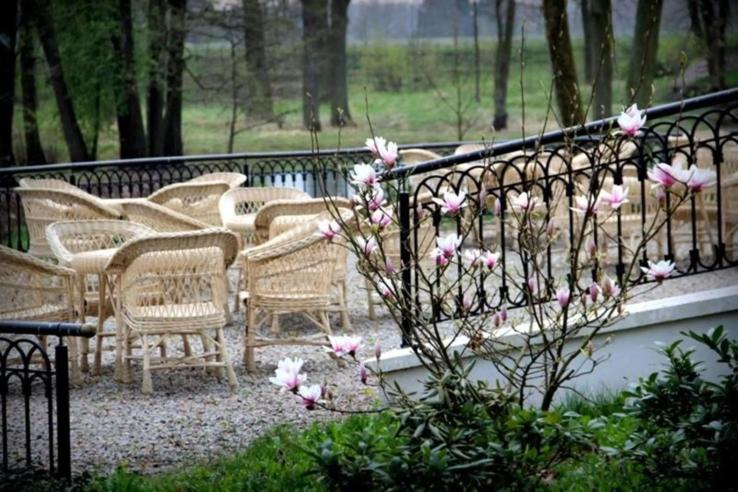 Balcony/Terrace in Pałac Wiejce