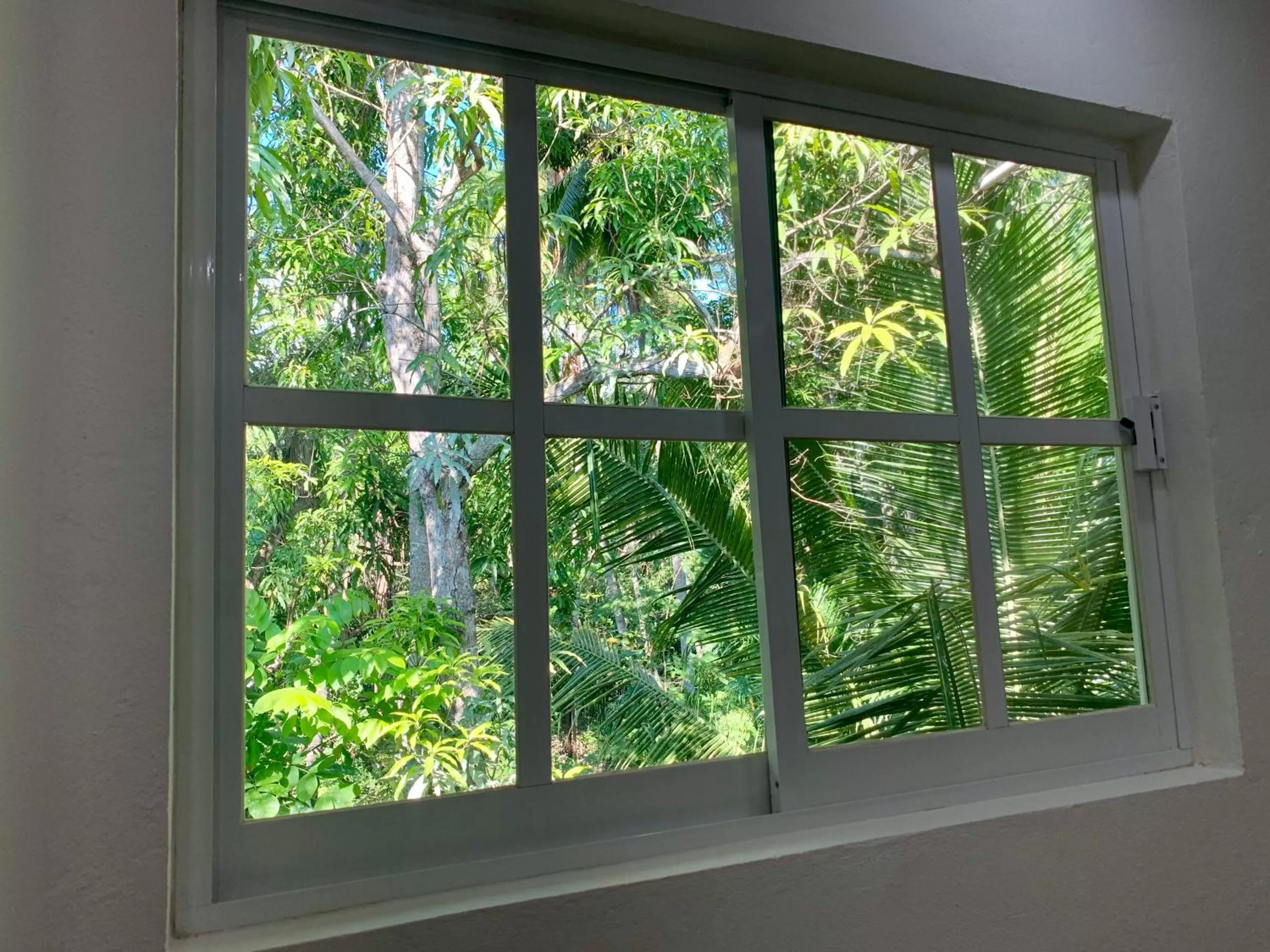 Natural landscape in Solez Zihuatanejo