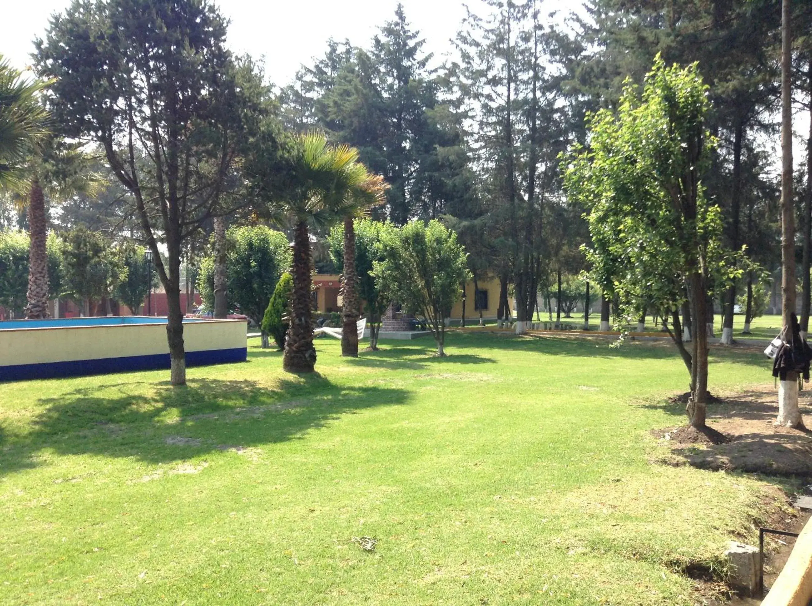 Garden in Hotel Finca Las Hortensias