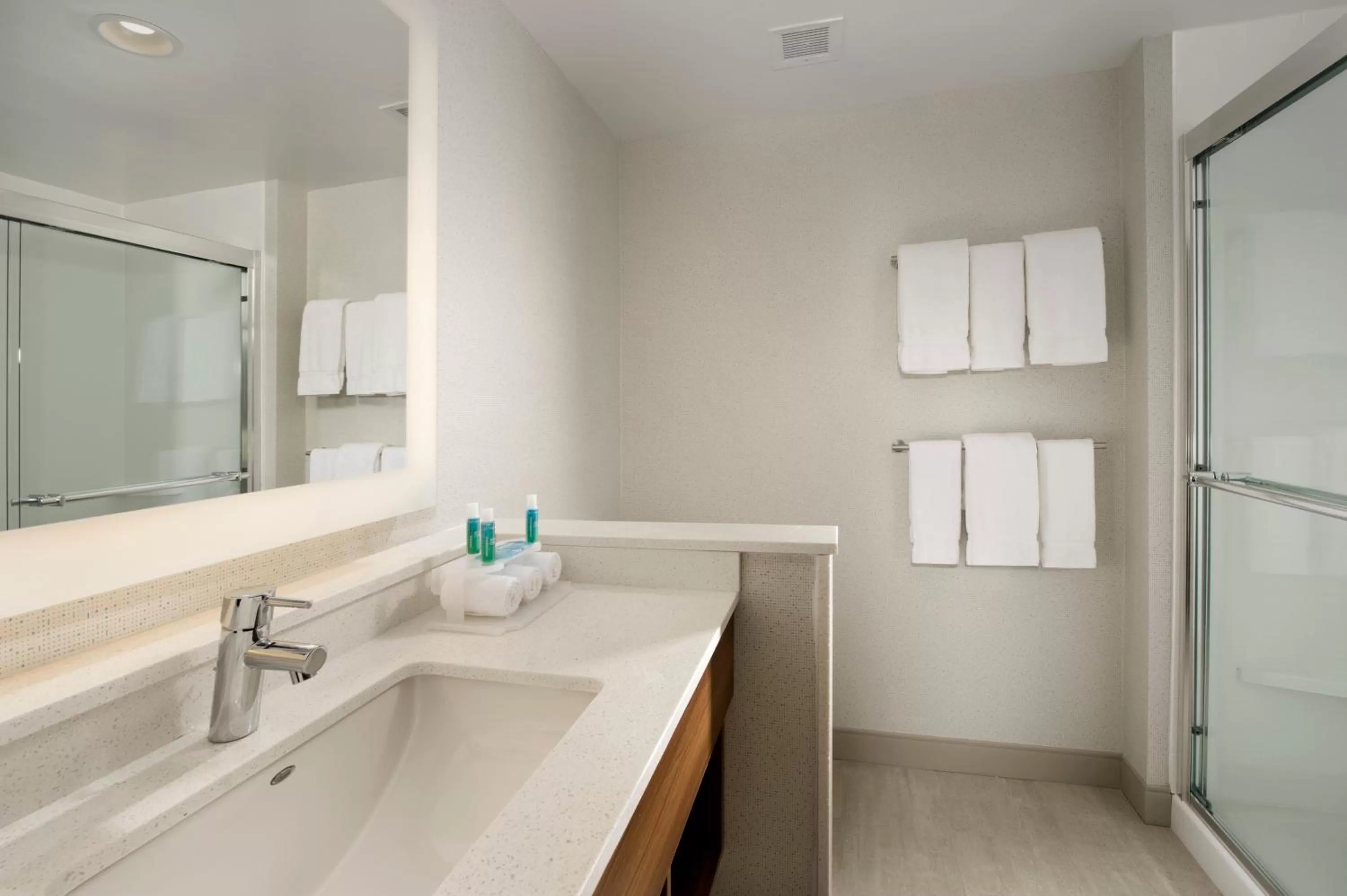 Bathroom in Holiday Inn Express & Suites San Antonio North-Windcrest by IHG