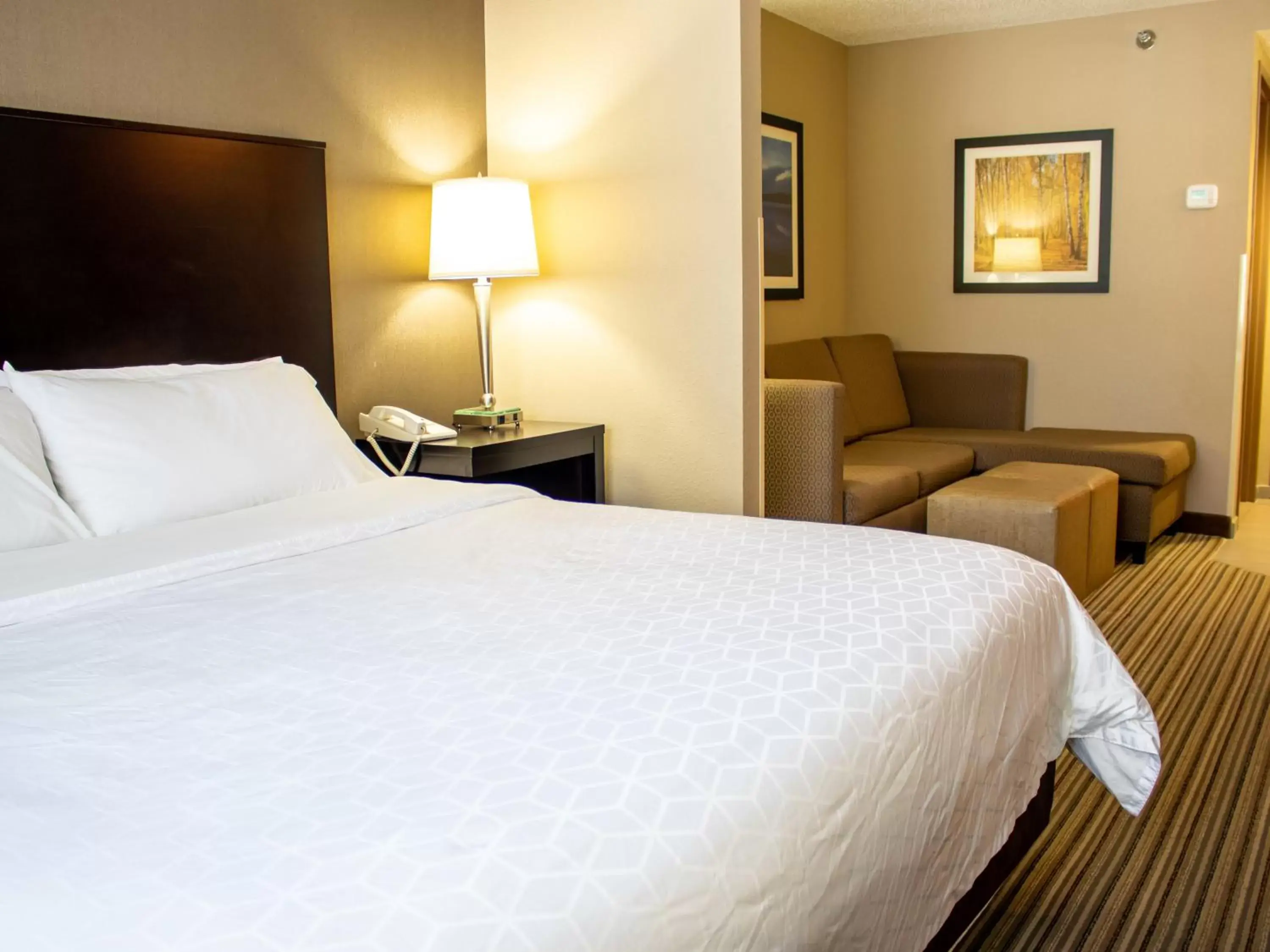 Photo of the whole room, Bed in Holiday Inn Express & Suites Hayward, an IHG Hotel