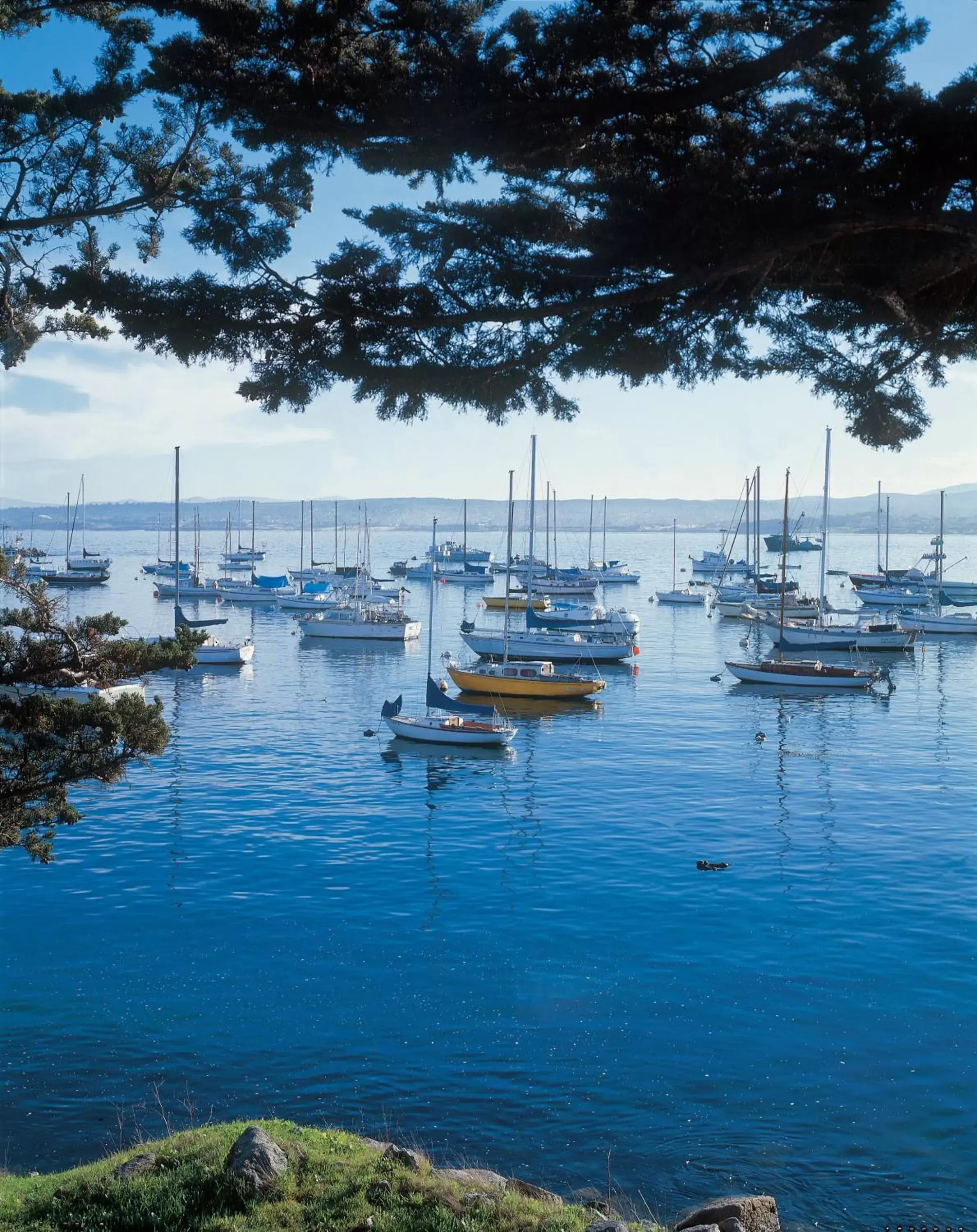 Area and facilities in Monterey Bay Inn