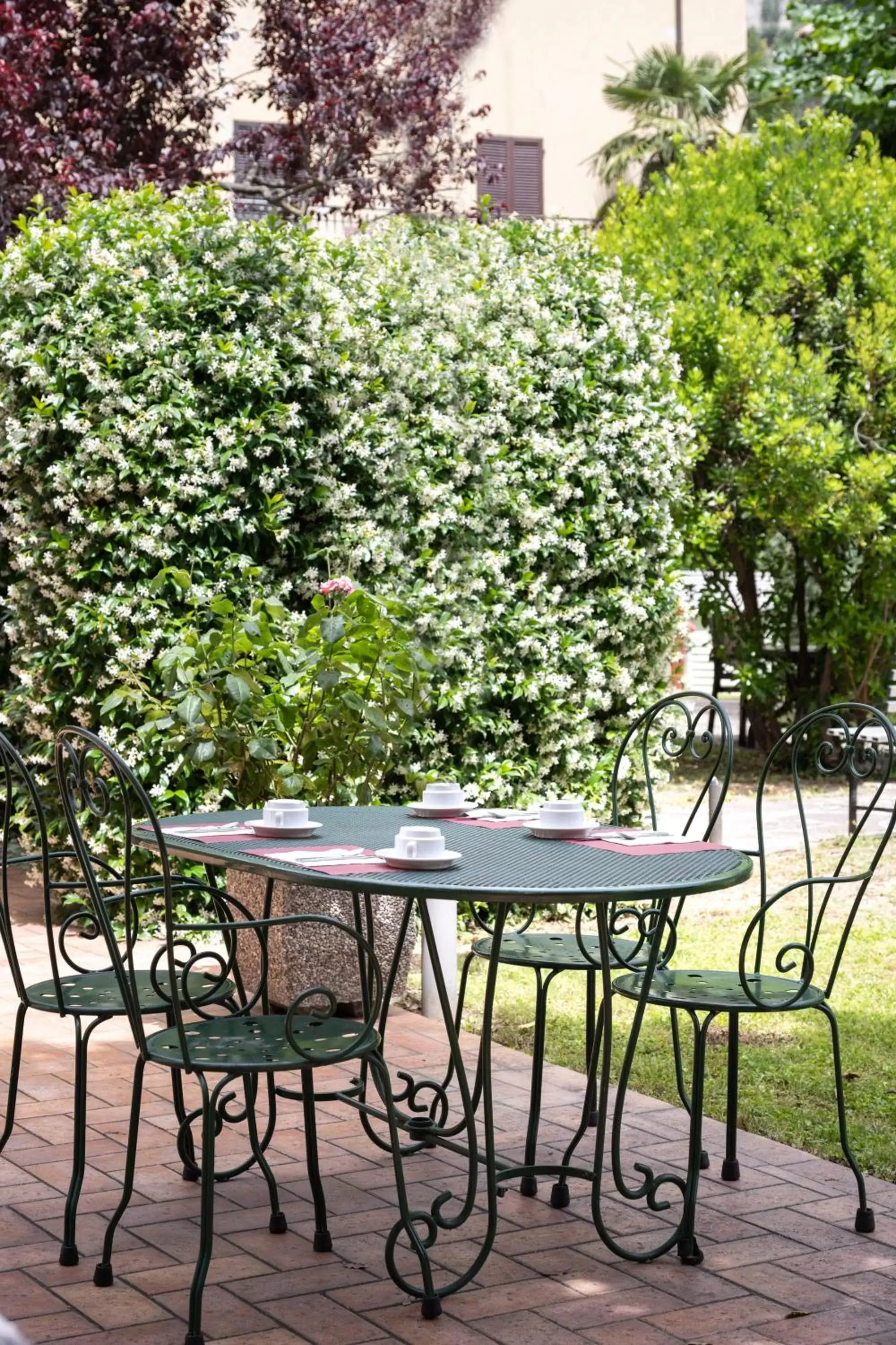 Garden, Patio/Outdoor Area in Hotel San Marco