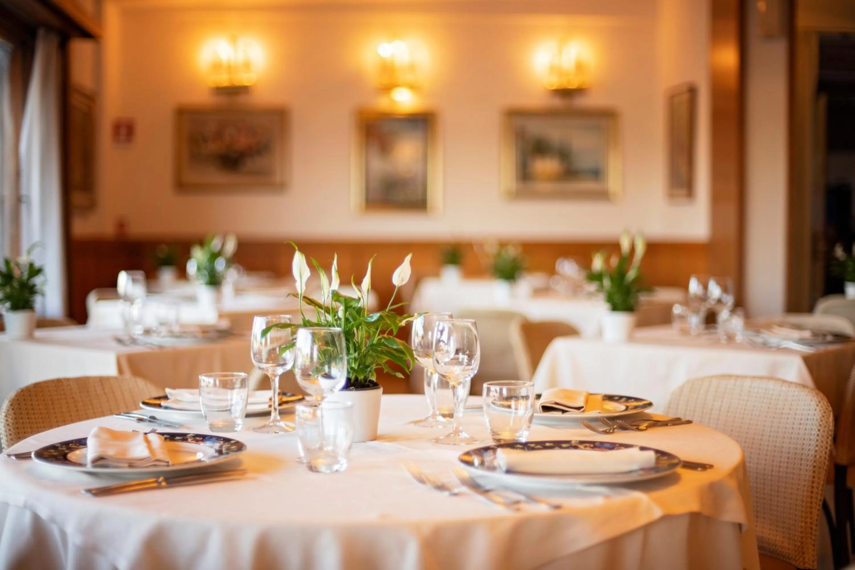 Restaurant/places to eat in Hotel L'Approdo