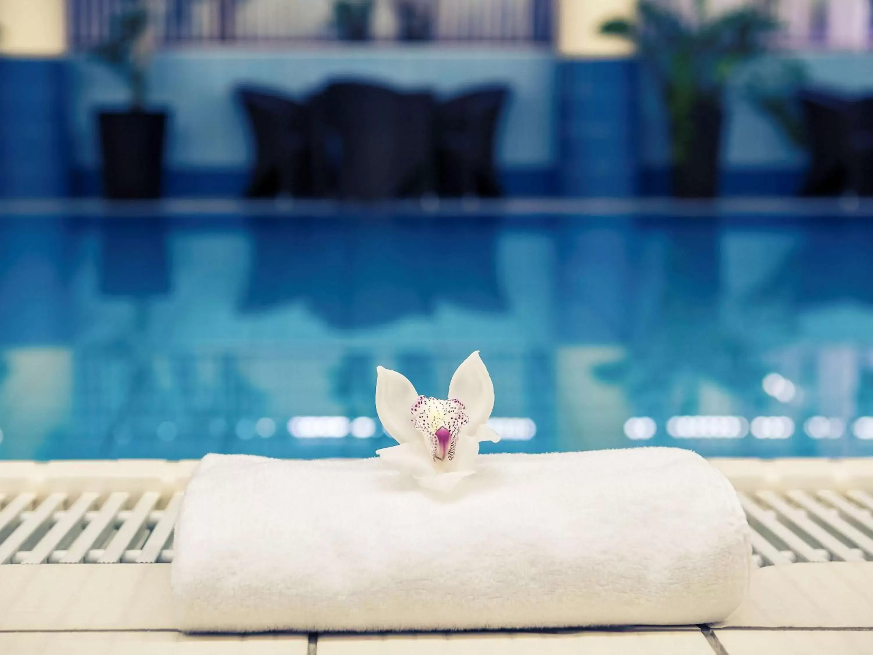 On site, Swimming Pool in Mercure Jelenia Góra