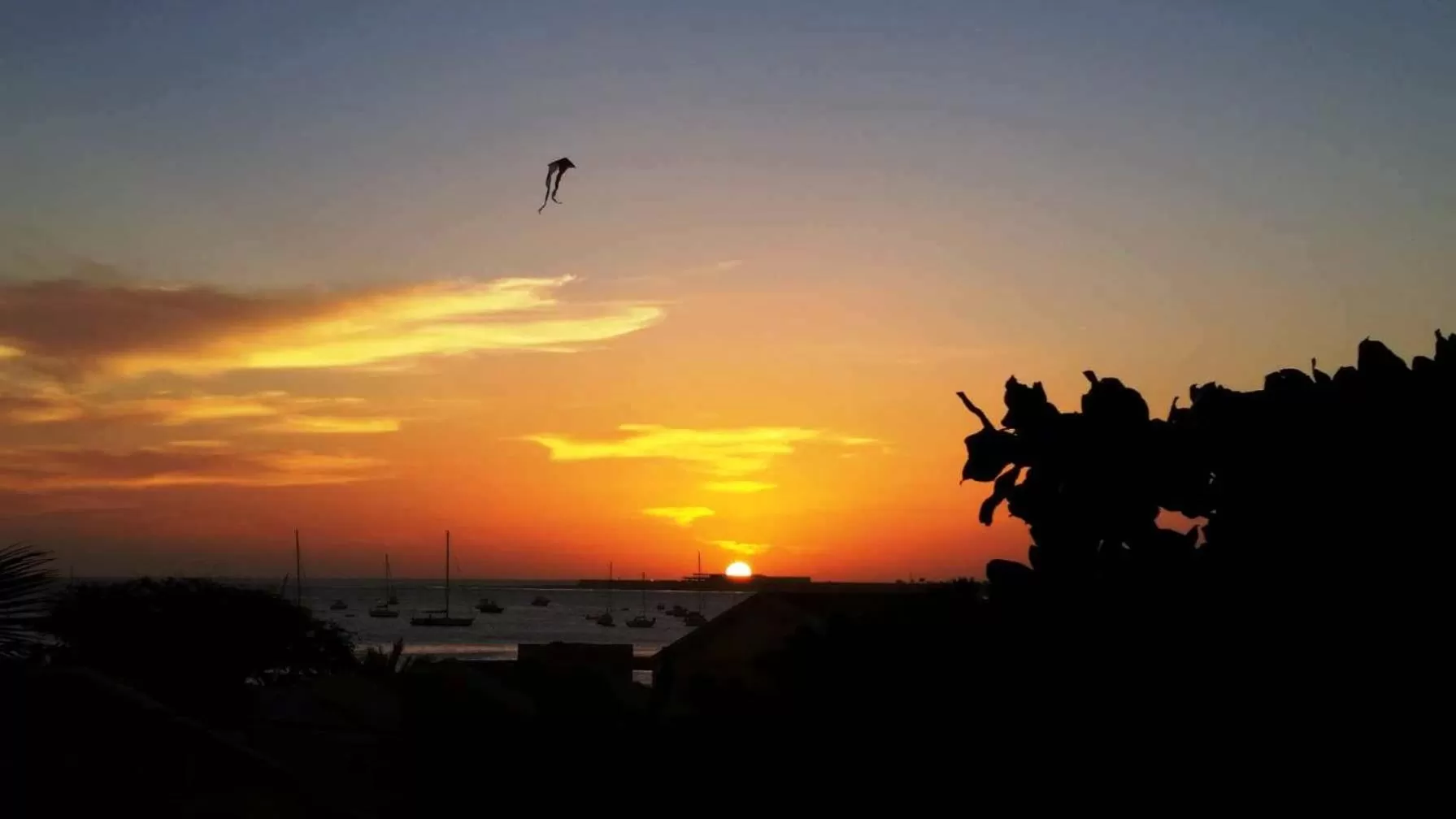 Natural landscape in Aparthotel Santa Maria Beach