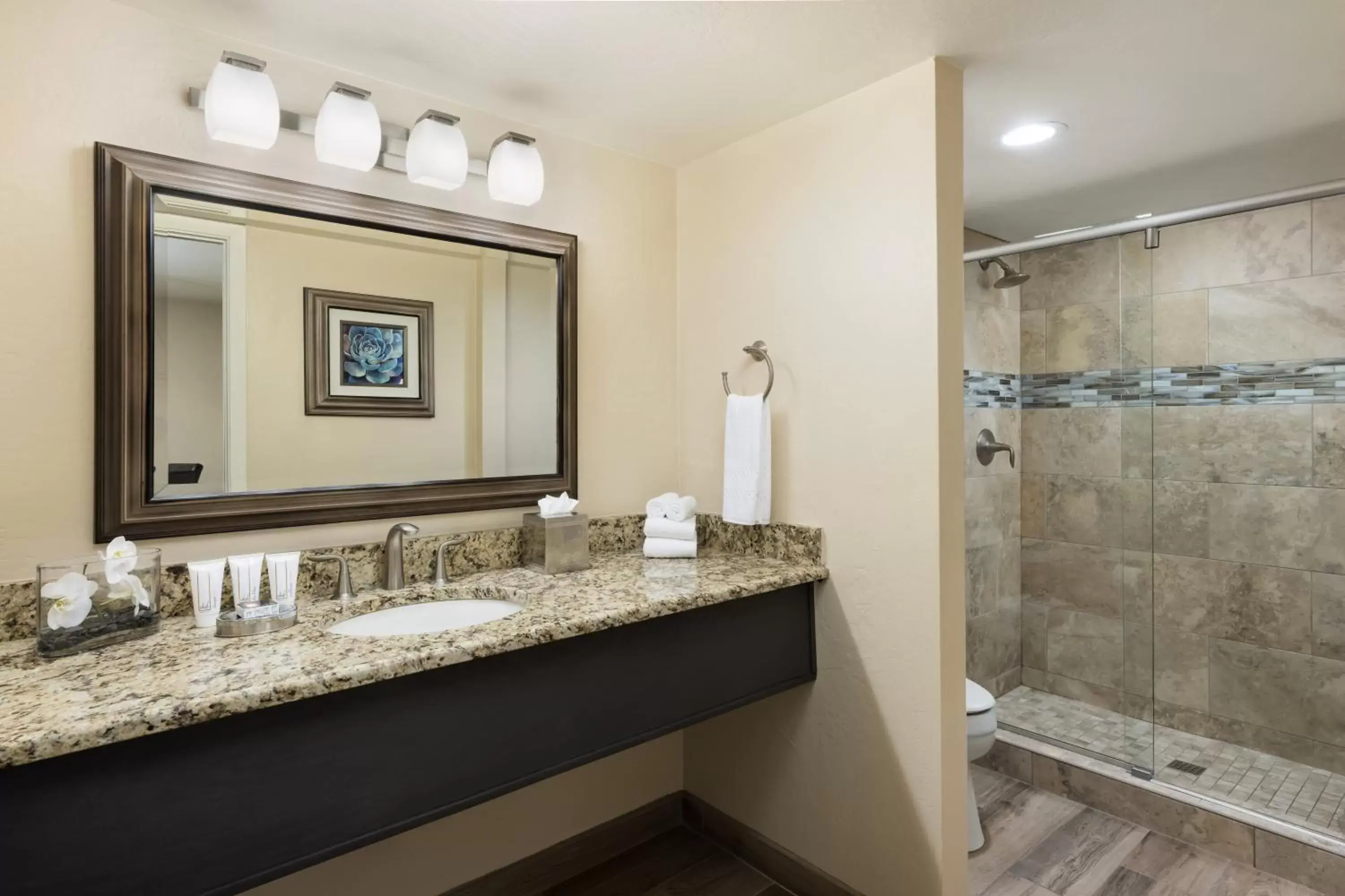 Bathroom in The Scottsdale Plaza Resort & Villas