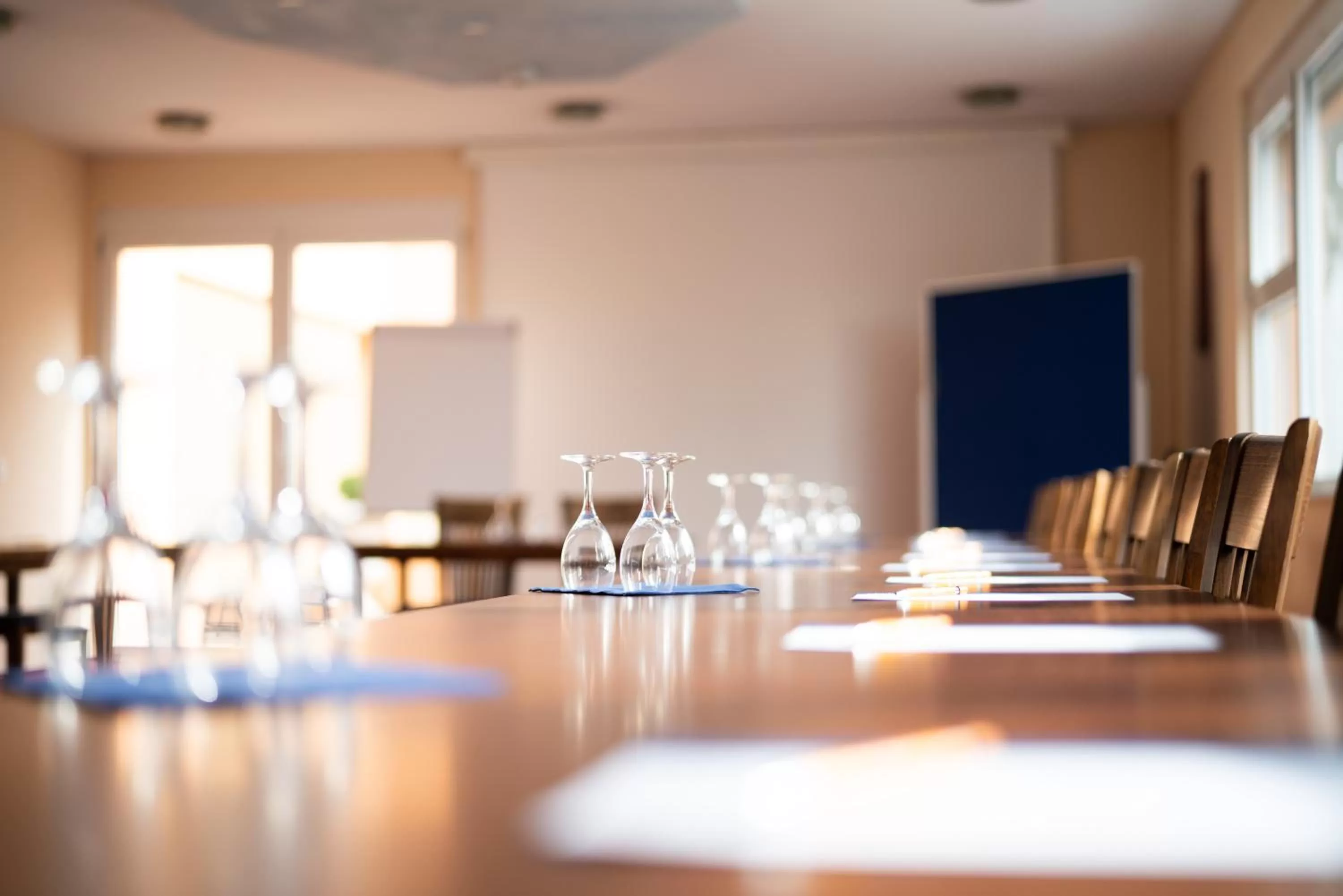 Business facilities in ates Hotel Kehl