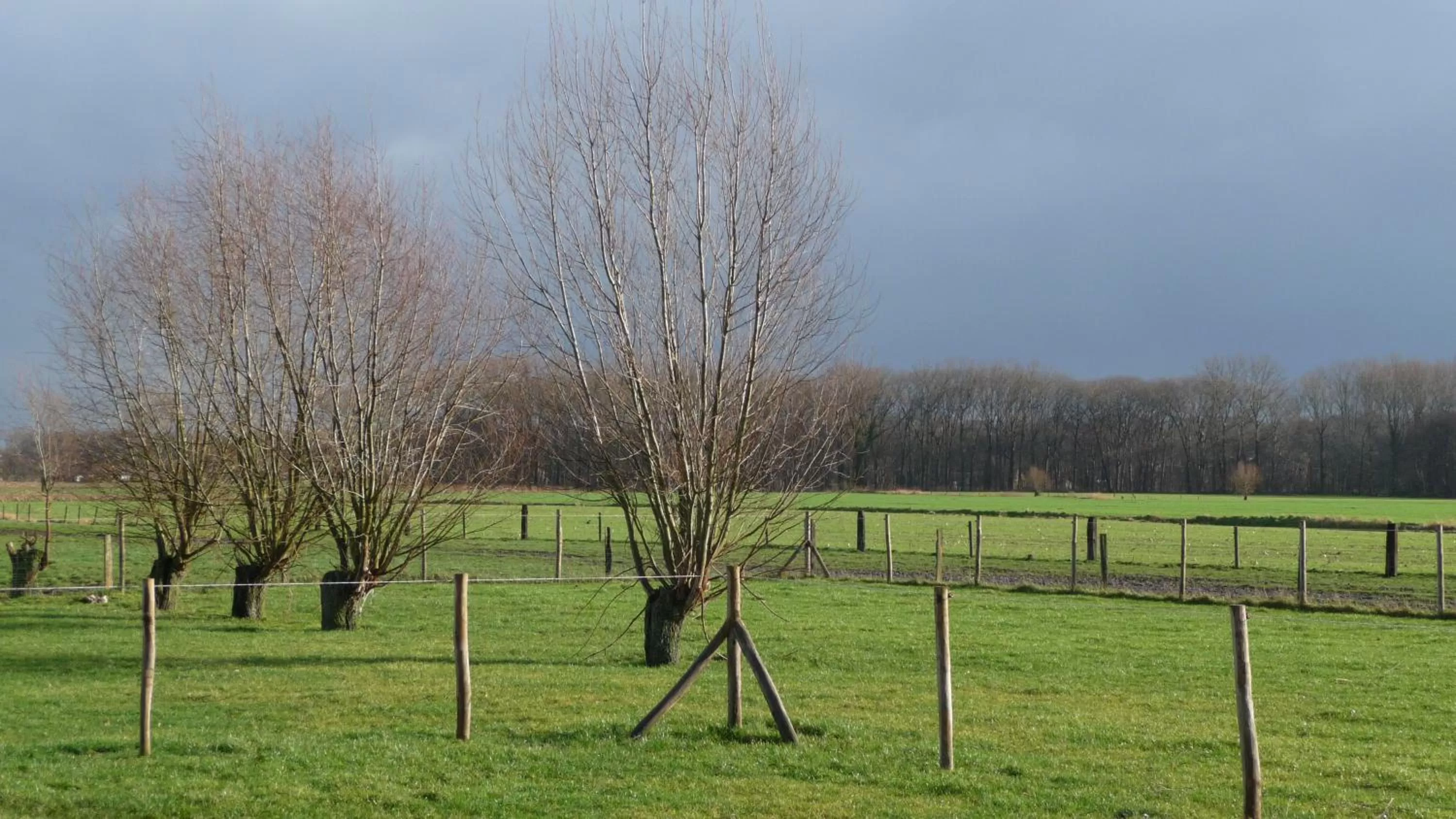 Garden in B&B De Vossenbarm