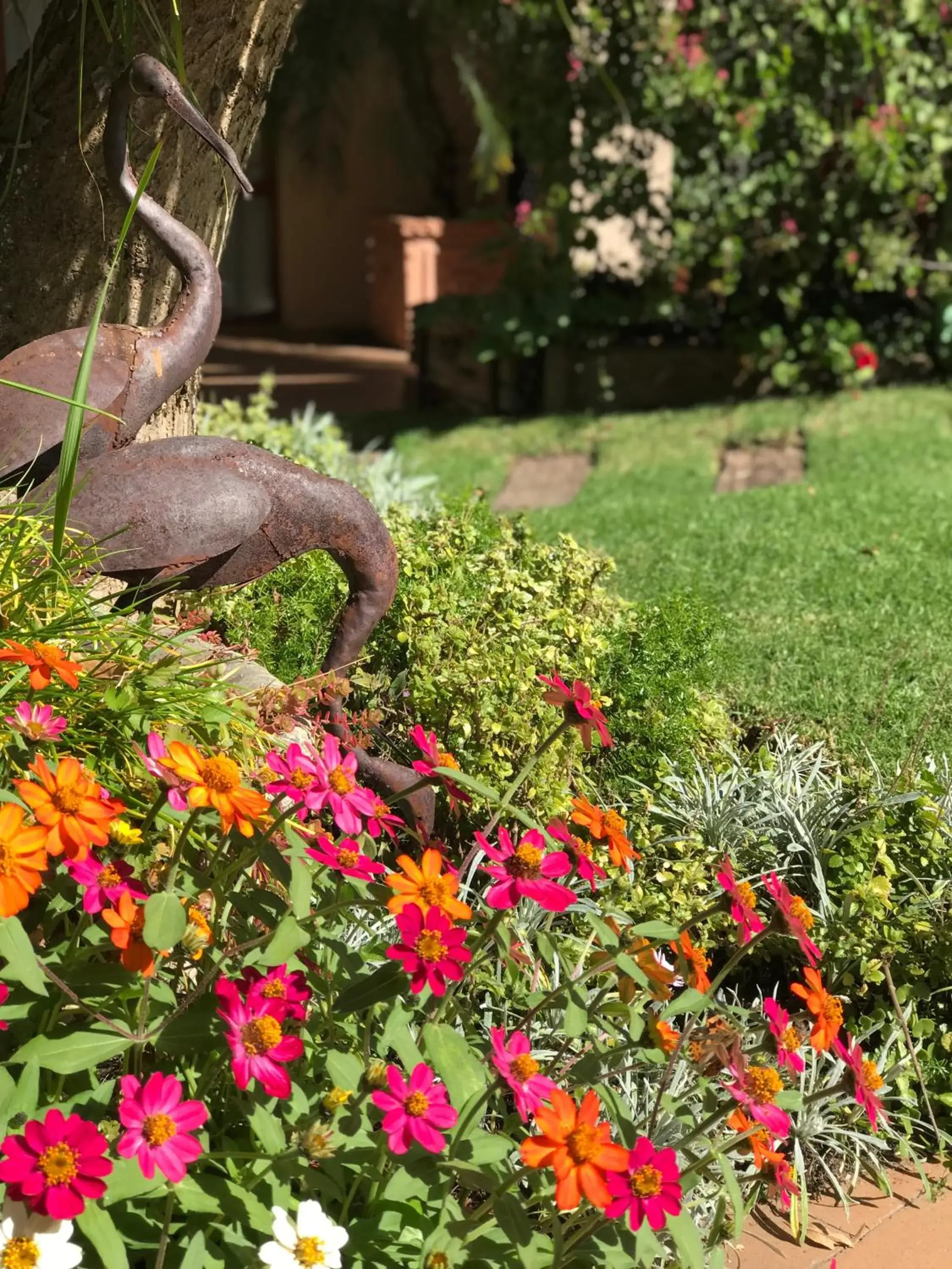 Garden in Claires of Sandton Luxury Guest House