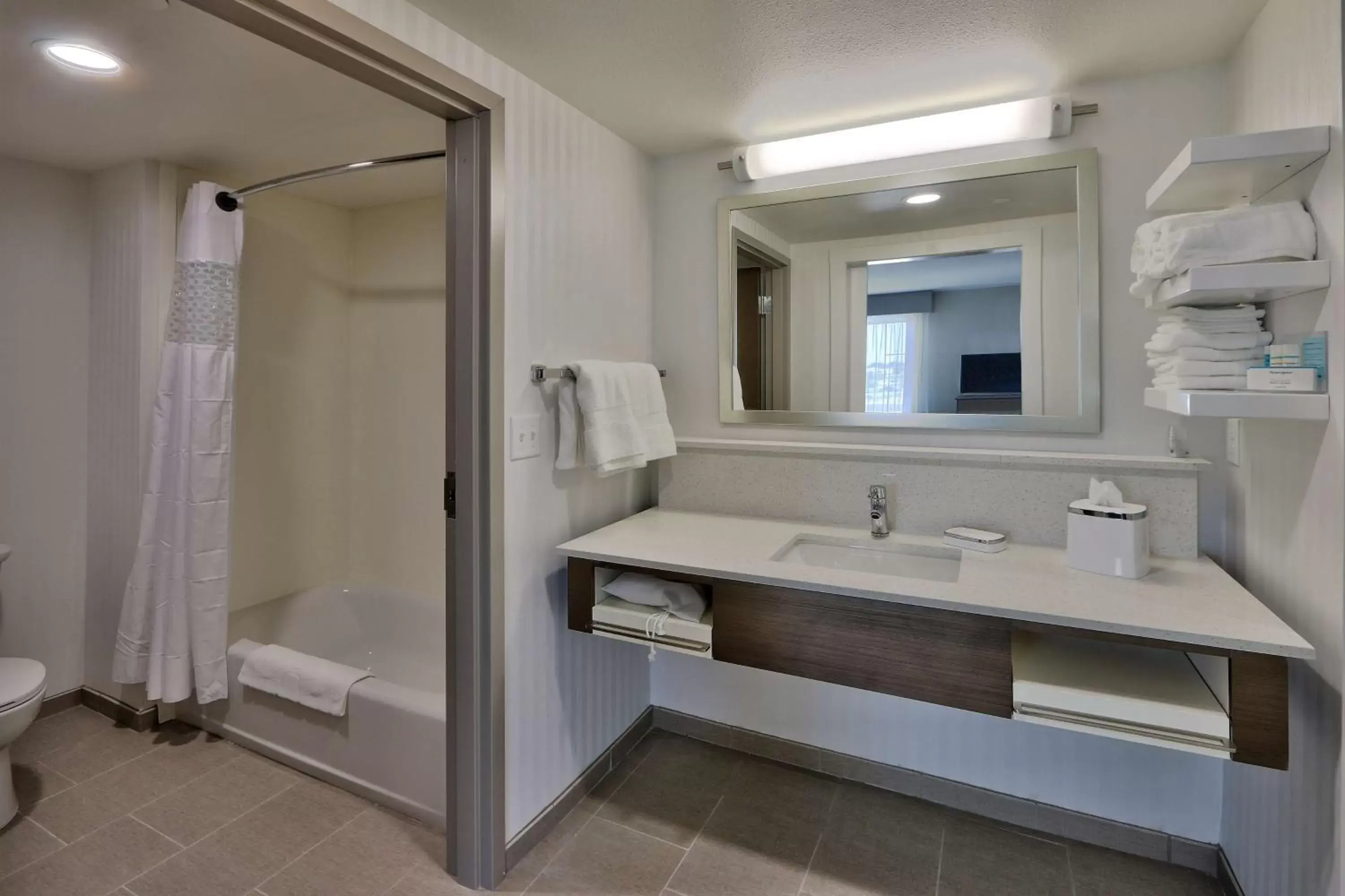 Bathroom in Hampton Inn & Suites Artesia