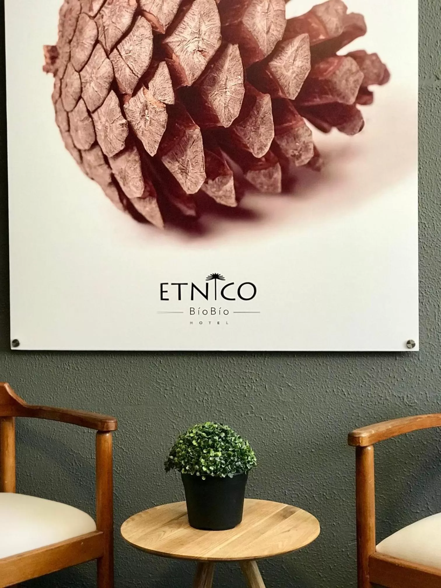 Lobby or reception in Etnico Bío Bío Hotel