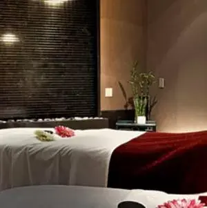 Spa and wellness centre/facilities, Spa/Wellness in Windsor Arms Hotel
