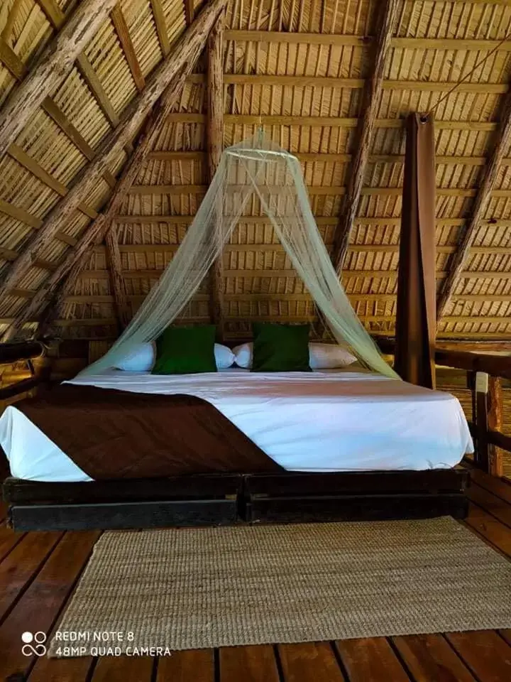 Room Photo in Cabarete Maravilla Eco Lodge Boutique Beach Surf & Kite