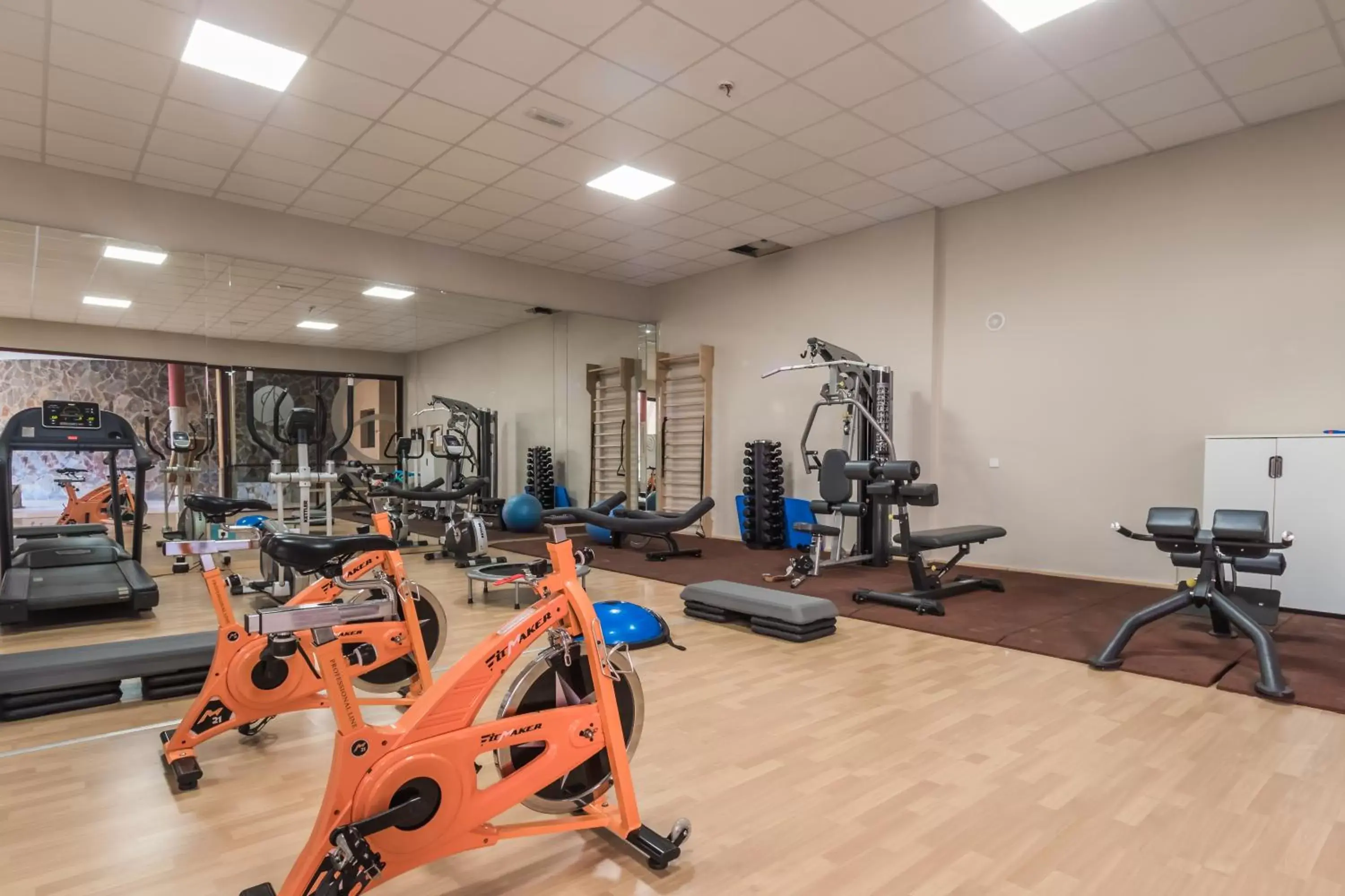 Fitness centre/facilities, Fitness Center/Facilities in Hotel Esmeralda Maris by LIVVO