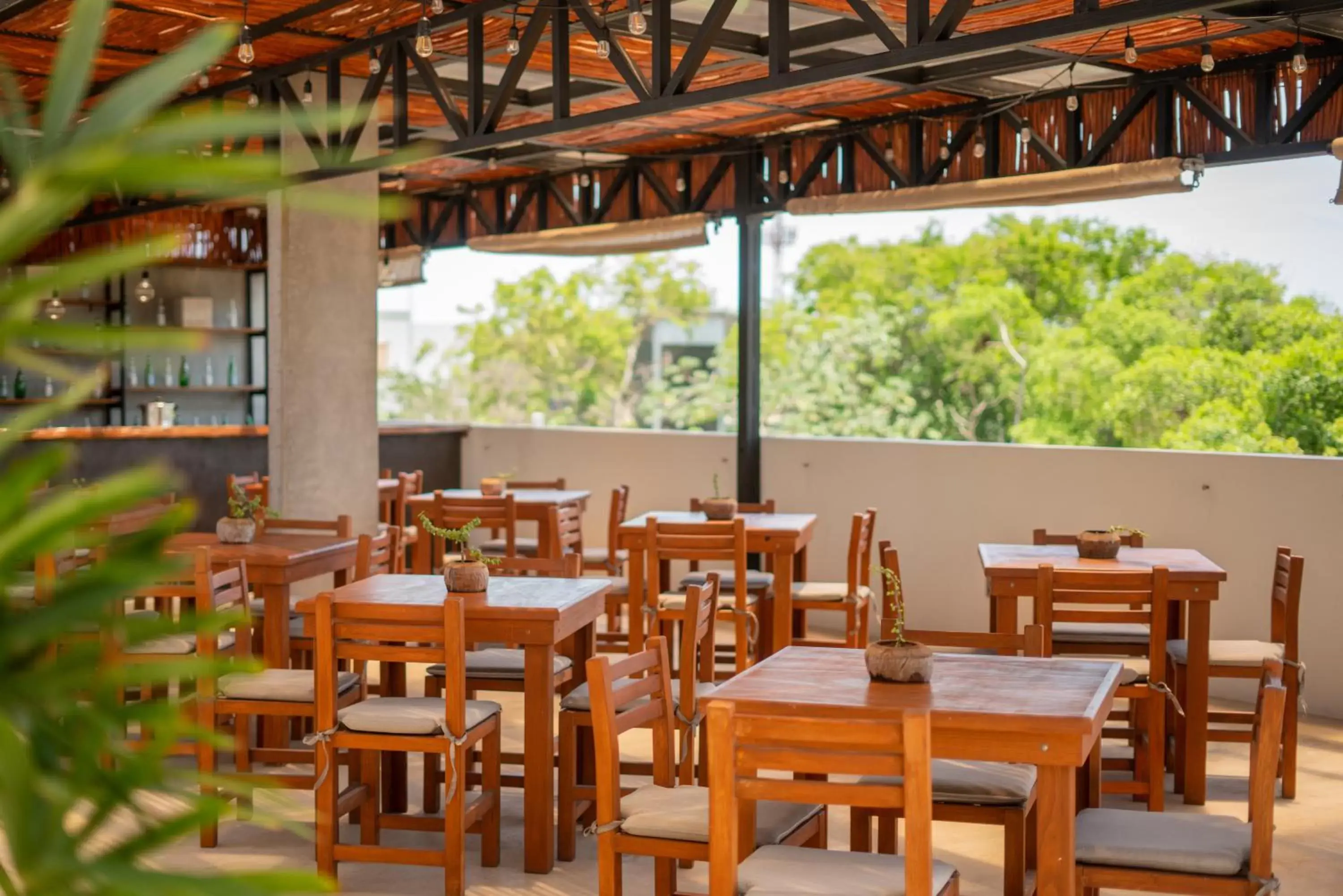 Breakfast, Restaurant/Places to Eat in Hotel Muyu Tulum