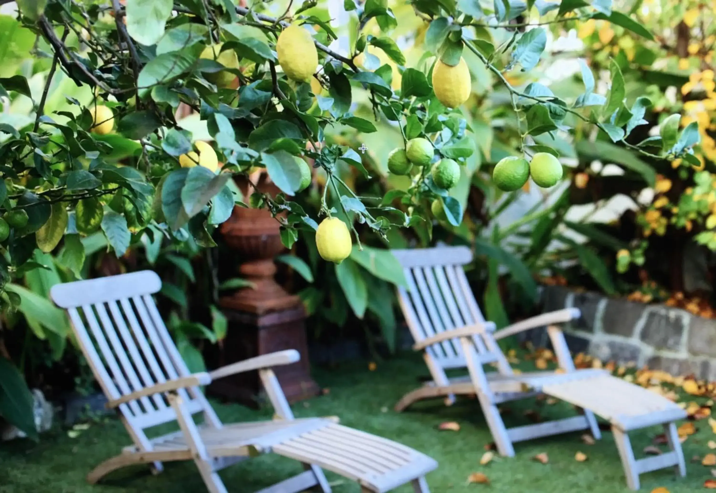 Garden in Captains Retreat Apartments and Cottages