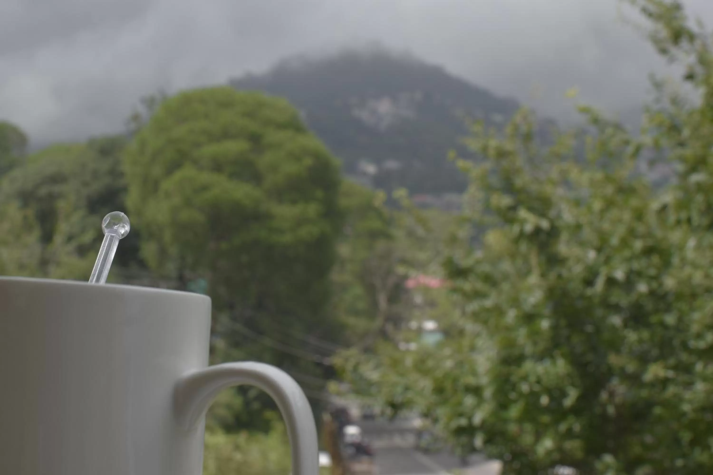 Day, Mountain View in The Royal Castle AC Centralized