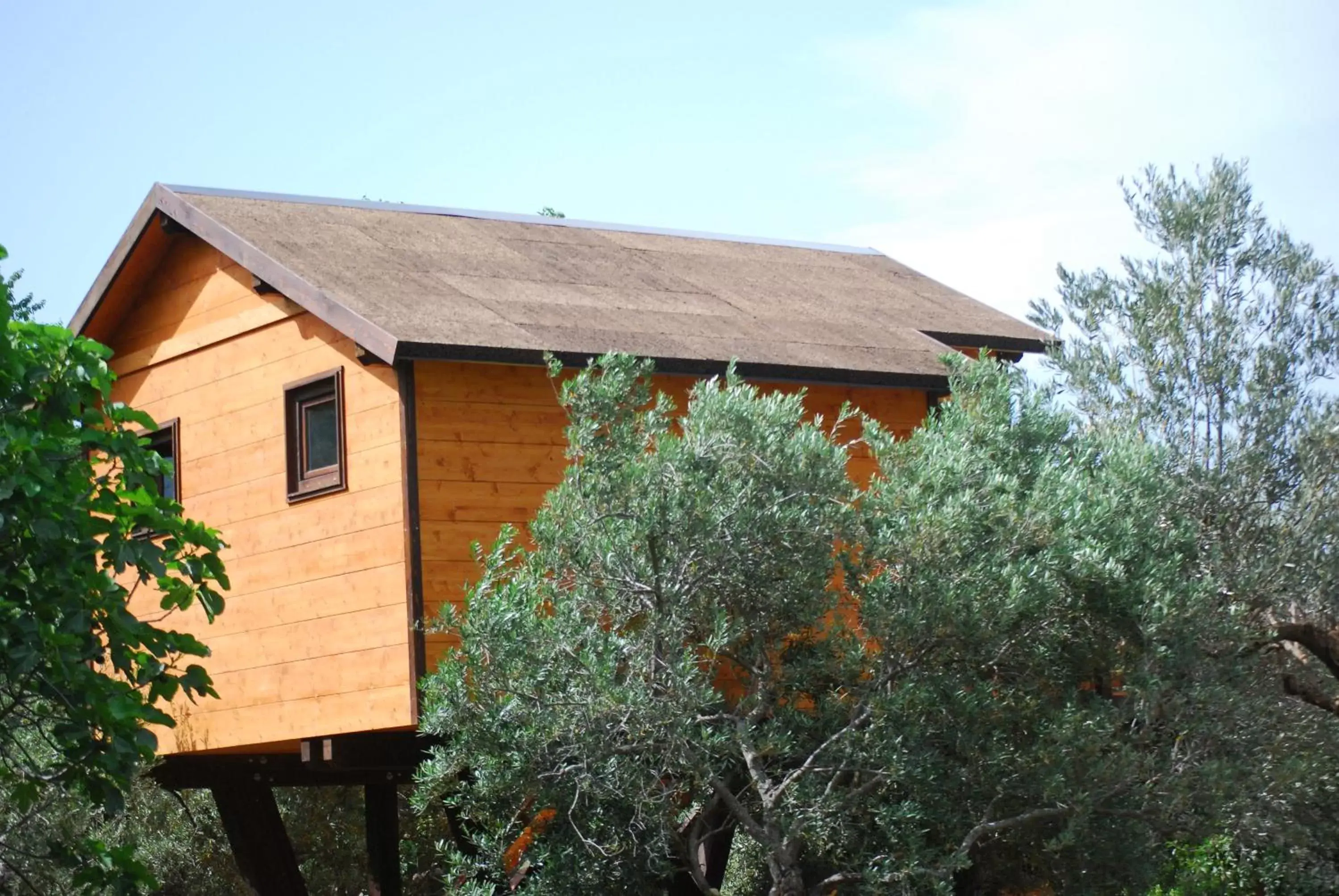 Property Building in Palazzo Conforti Tree House Resort