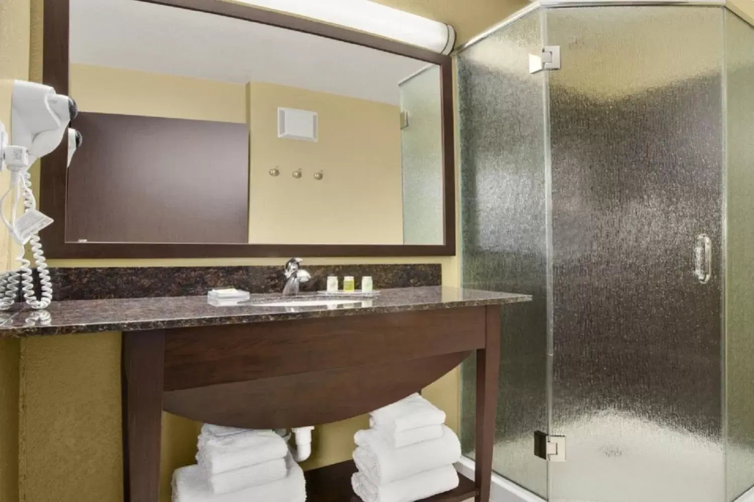 Bathroom in Microtel Inn & Suites by Wyndham Buda Austin South